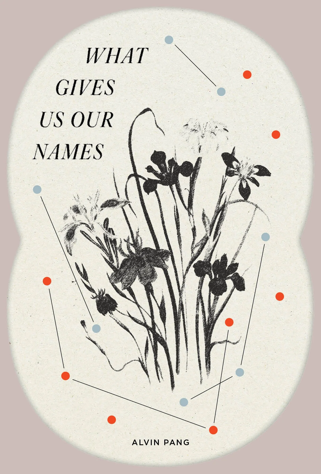 What Gives Us Our Names Cover.jpg