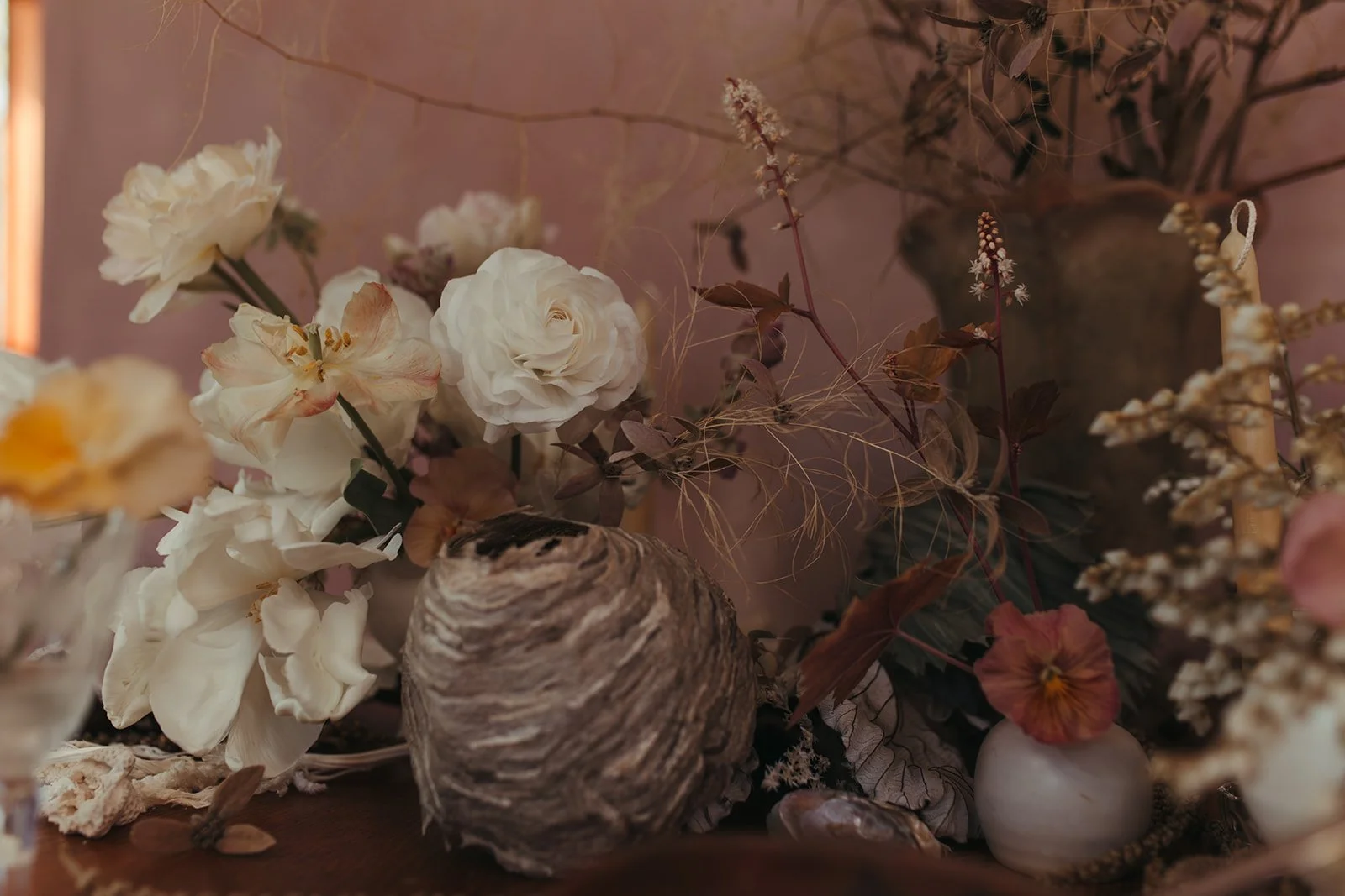 Nikki Bassette Photography