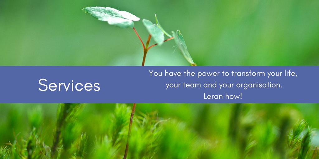 Services%2FSpeaking Banner.png