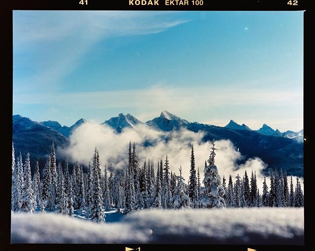 Hope everyone is safe and staying positive.⚡️There are always beautiful moments to remember and cherish. Cheers to all of you! We miss you and each other. 
Here is one from this winter that @sabineburns took on her cooky old film camera