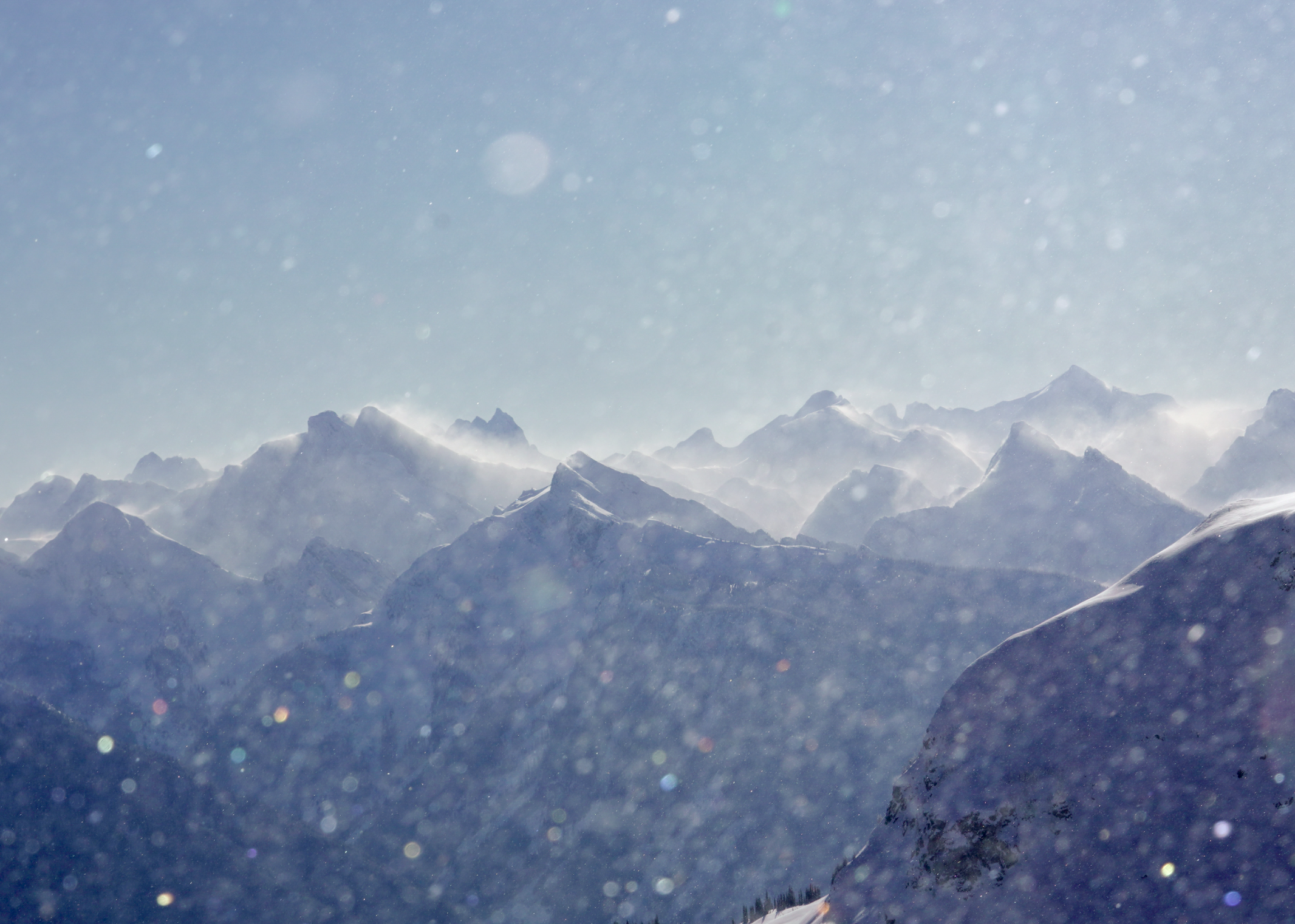 Screenshot 2026-01-31 at 8.08.30 PM.png