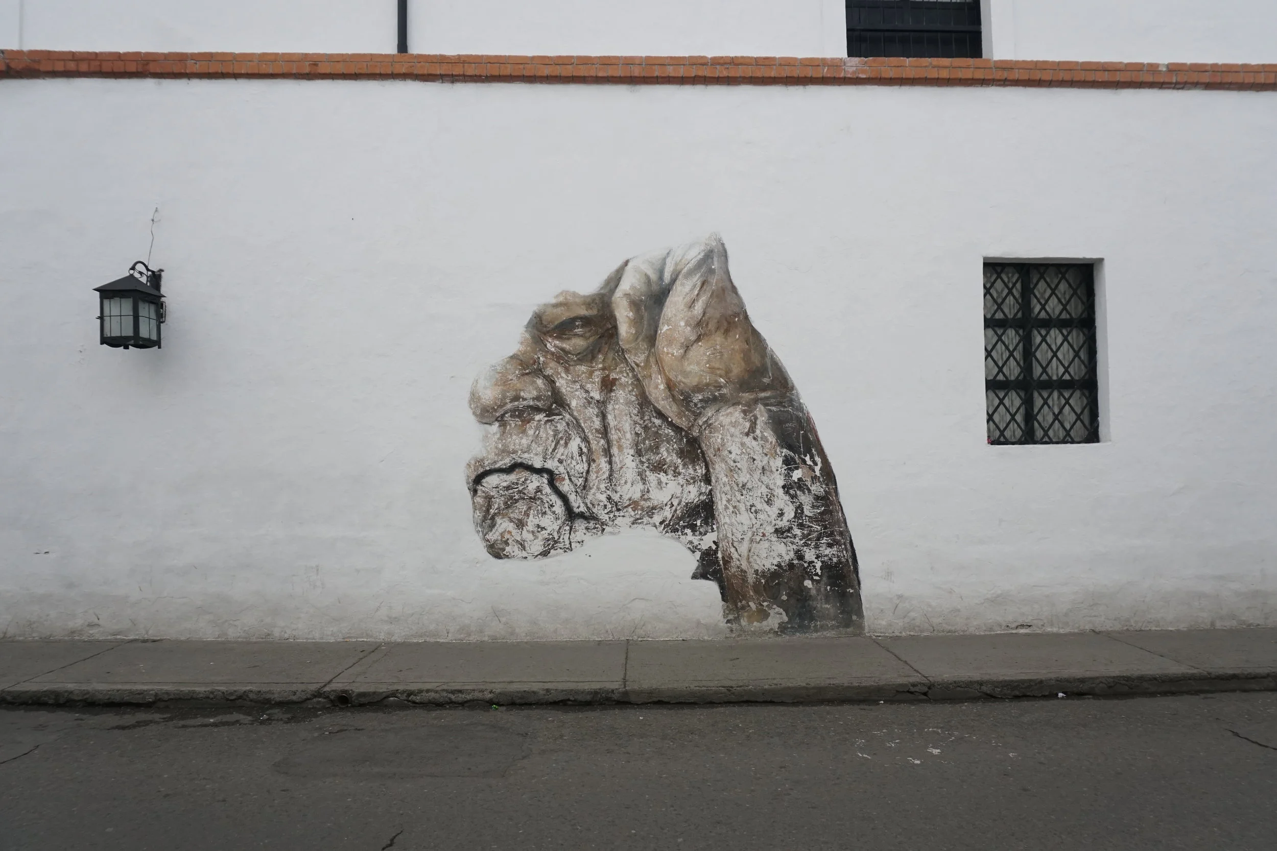 Border Crossing: Colombia to Ecuador 