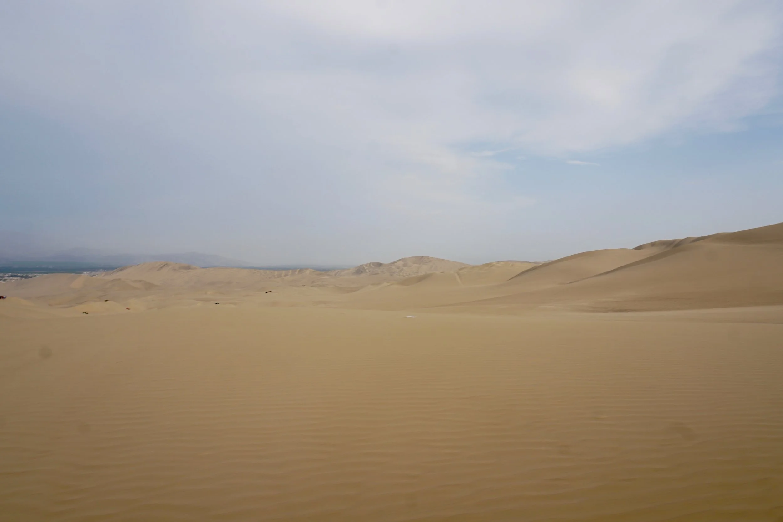 DSC03676.jpg