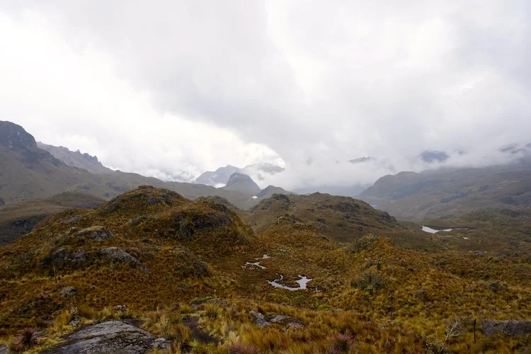 Cajas National Park, Ecuador