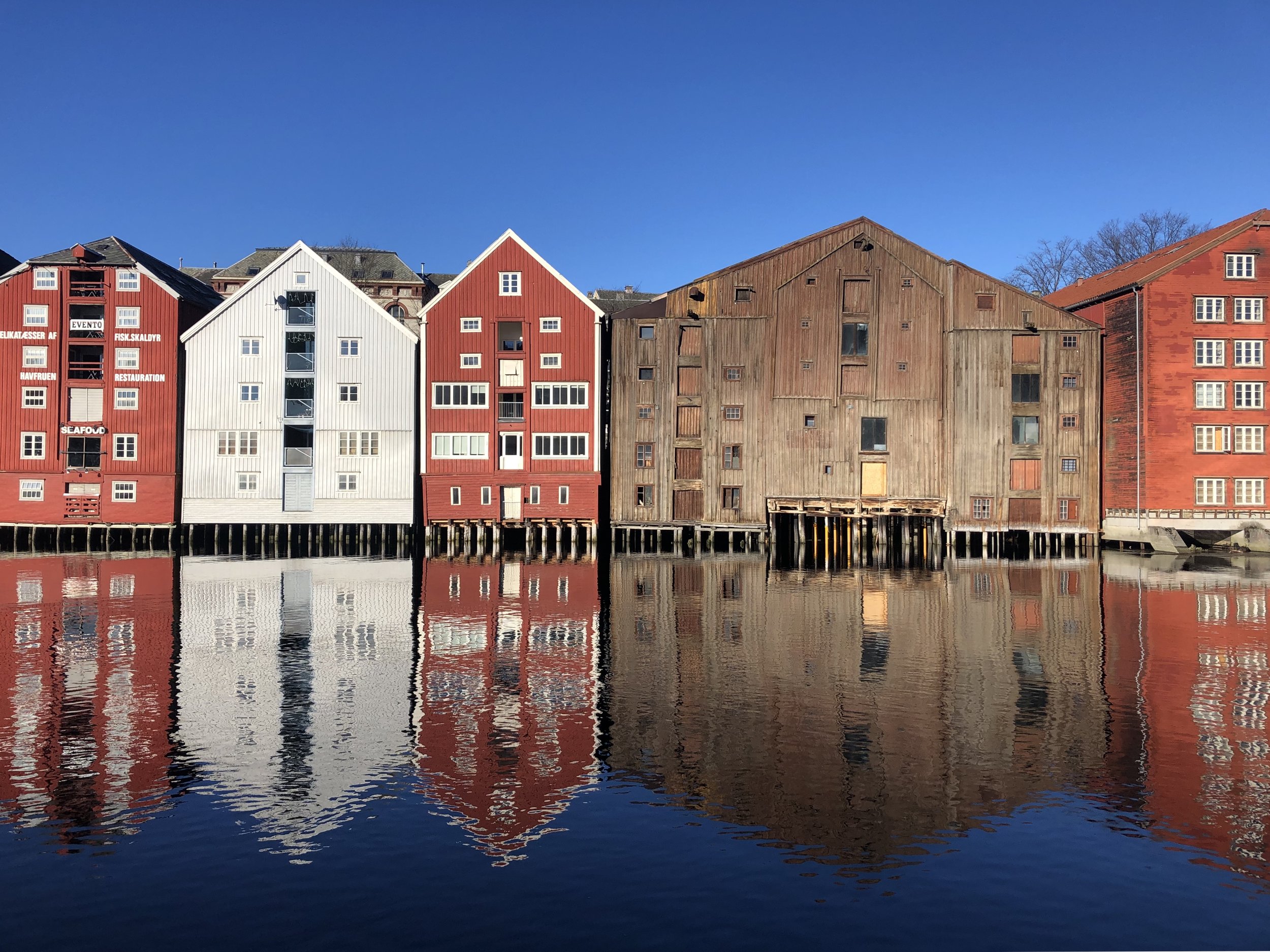 Trondheim, Norway — Lily The Of Valley