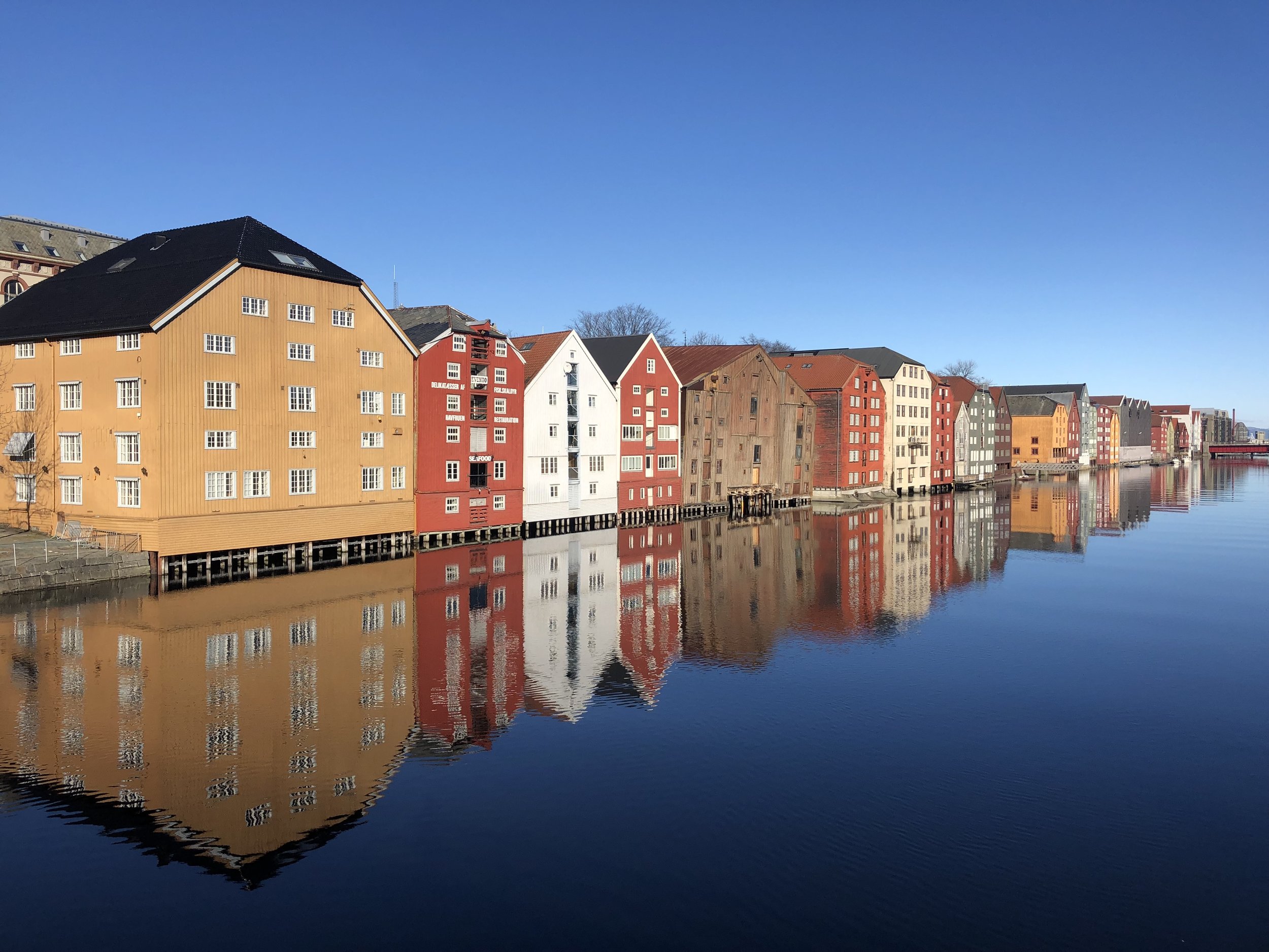 Trondheim, Norway — Lily Of The Valley