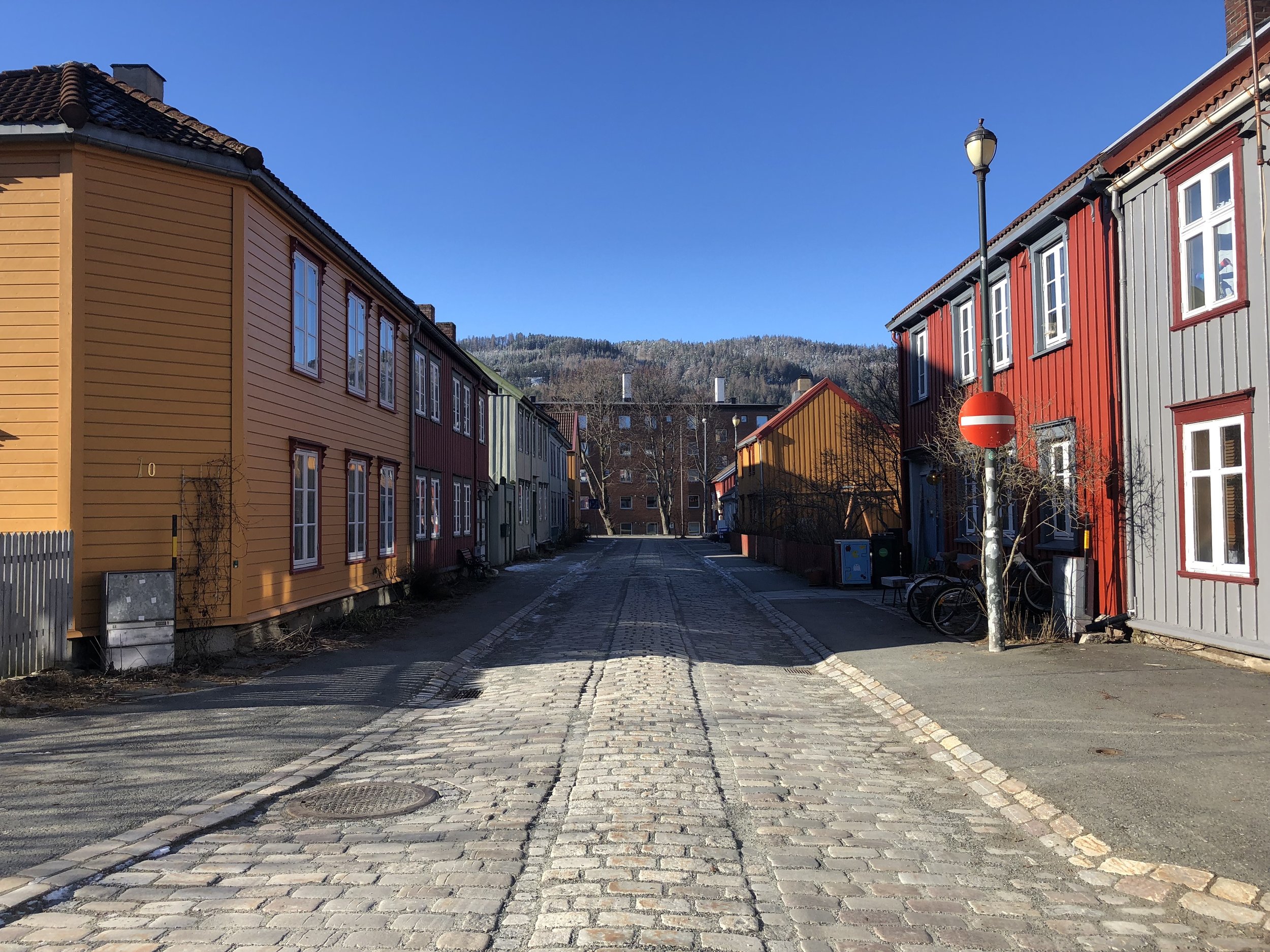 Trondheim, Norway — Lily Of The Valley