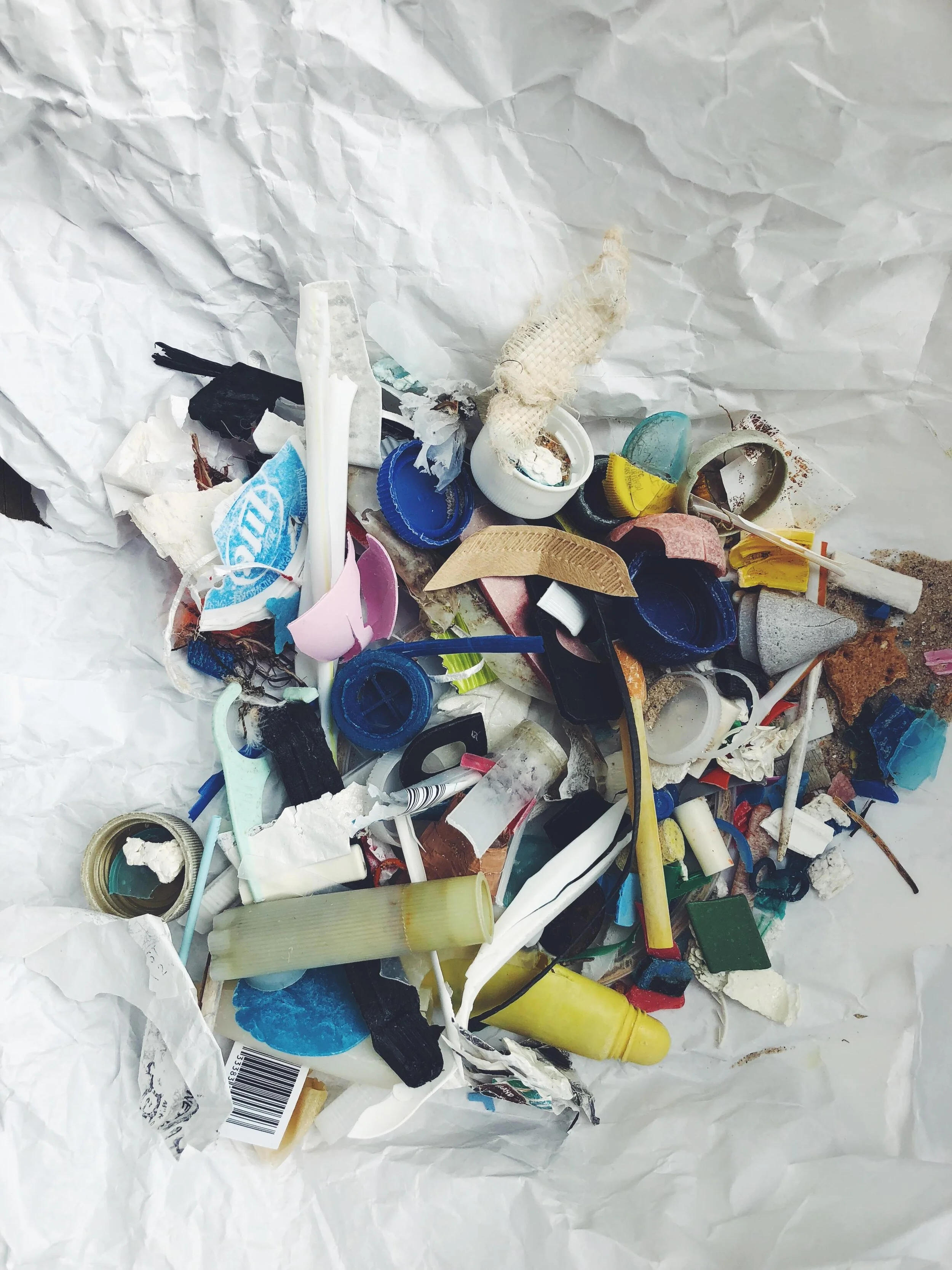 Beach Clean Loot: Lake Charlevoix