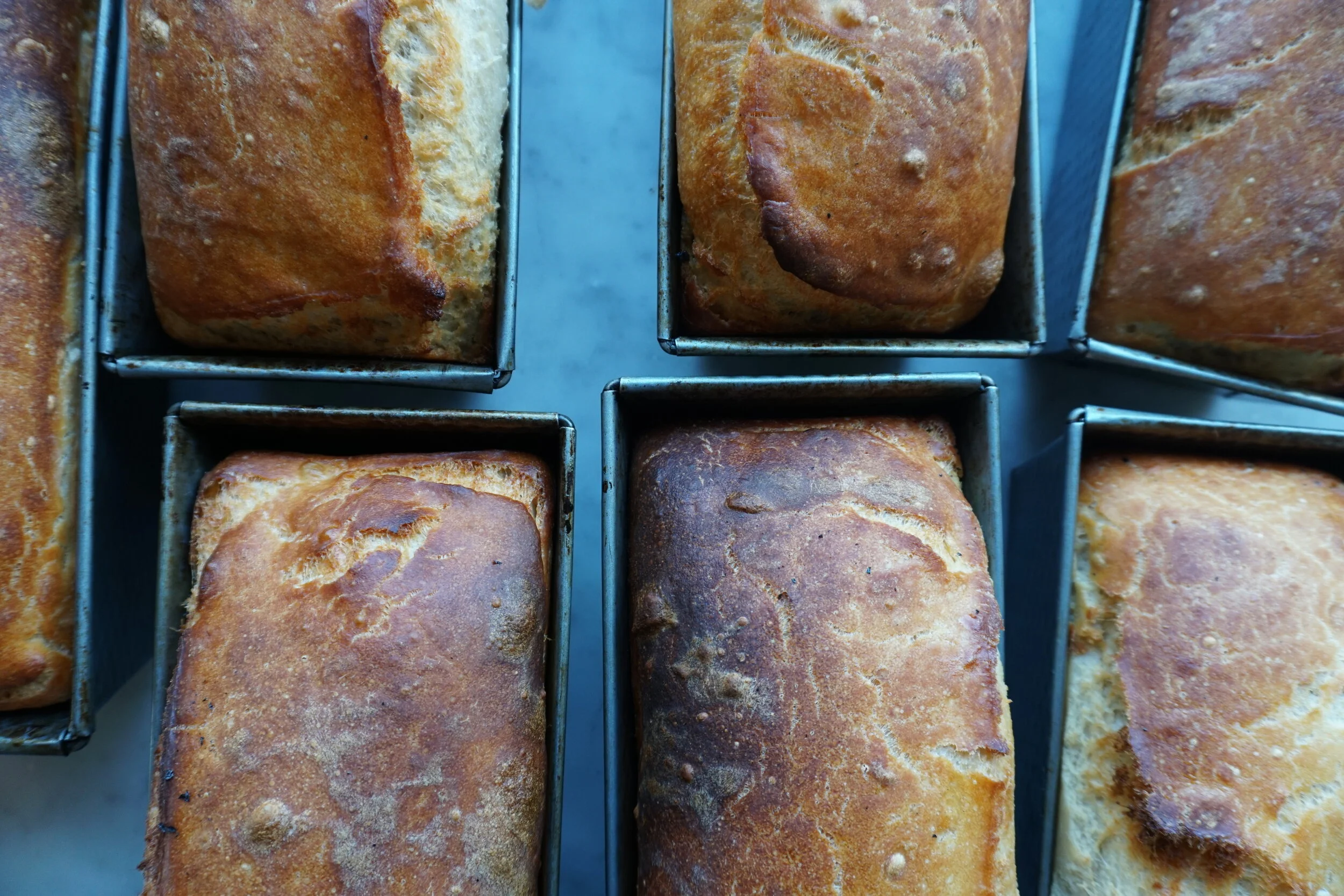 Ode To The Bread
