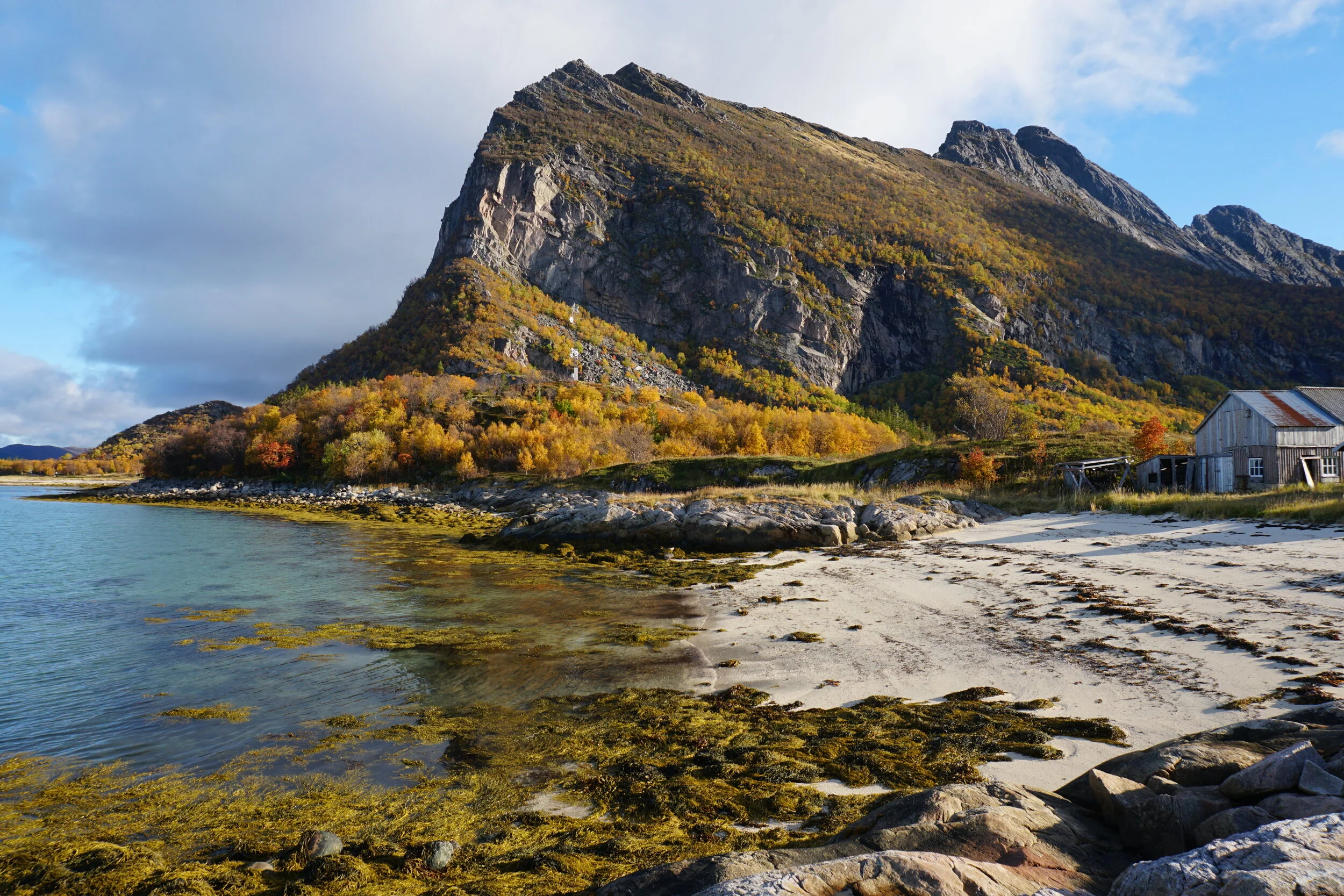 Autumn In Nordskot