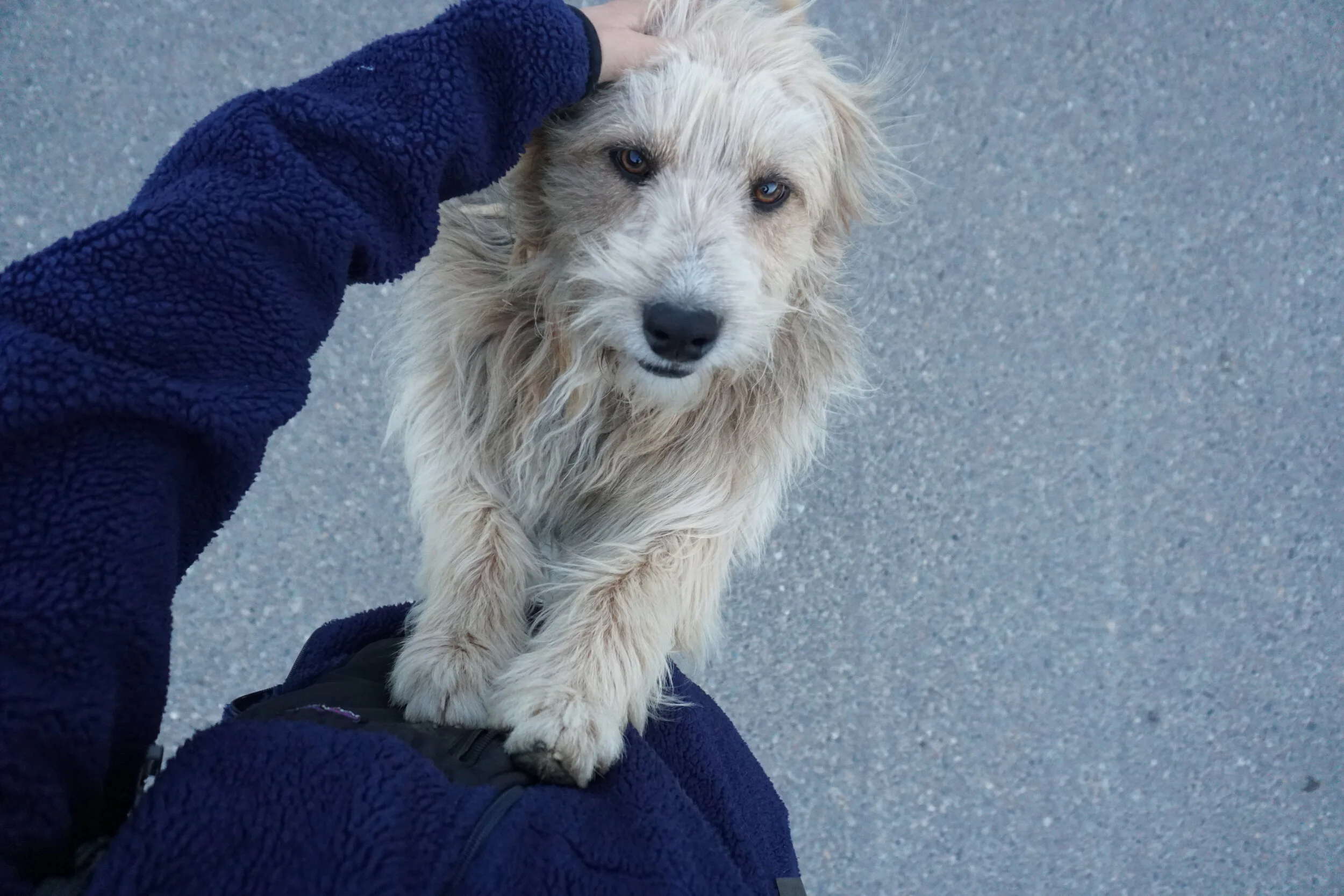 Log One:  El Chaltén