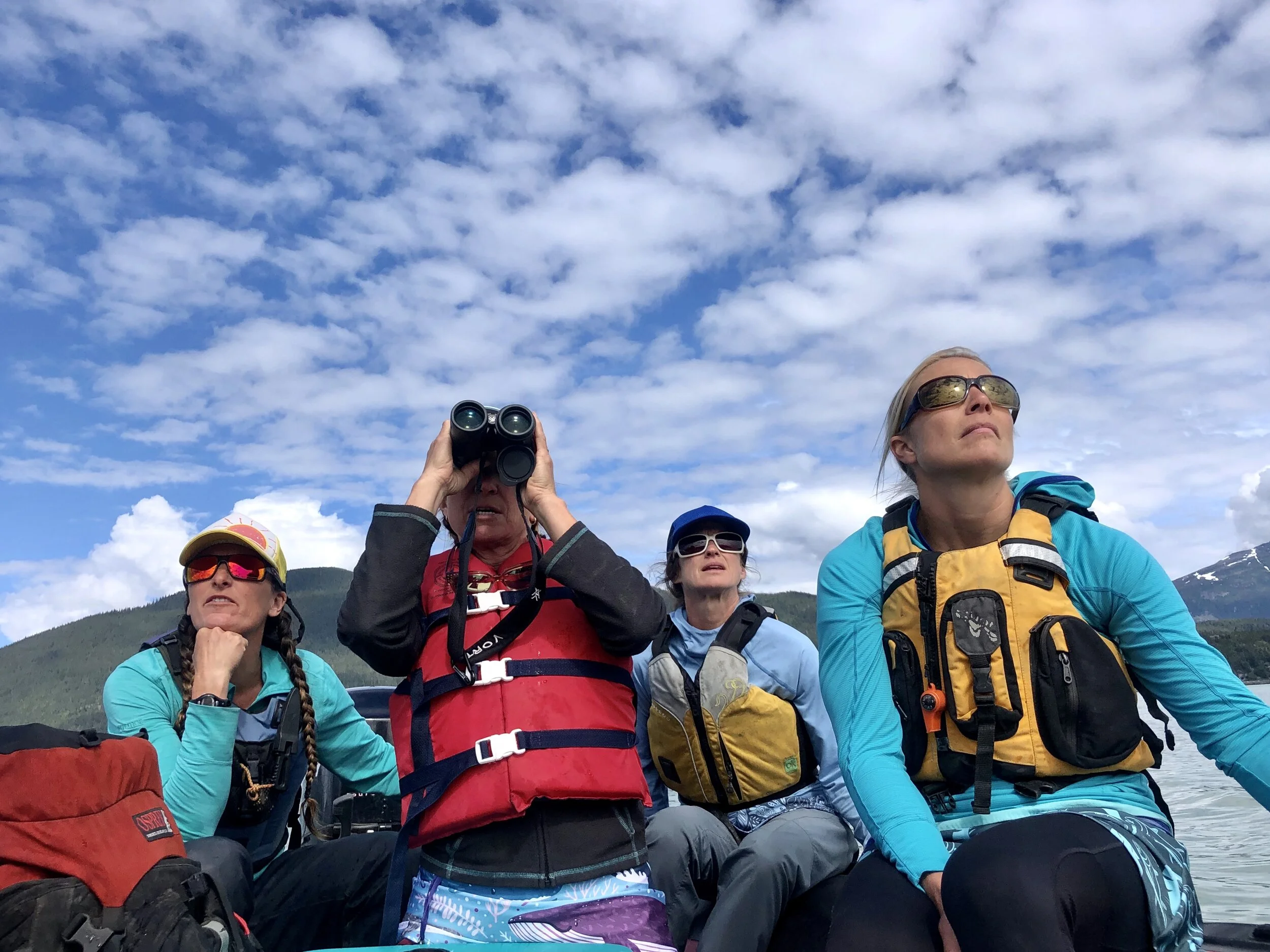 Log One: The Wild Side