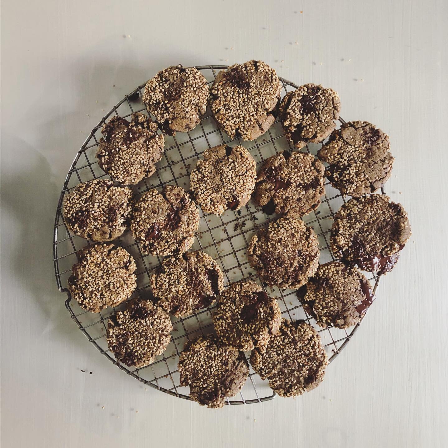 Rye-Tahini-Chocolate Cookies ✨