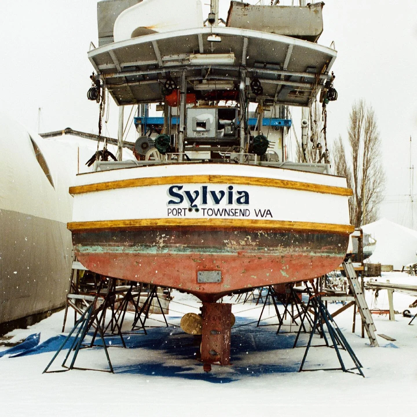 Second roll of film came back today.