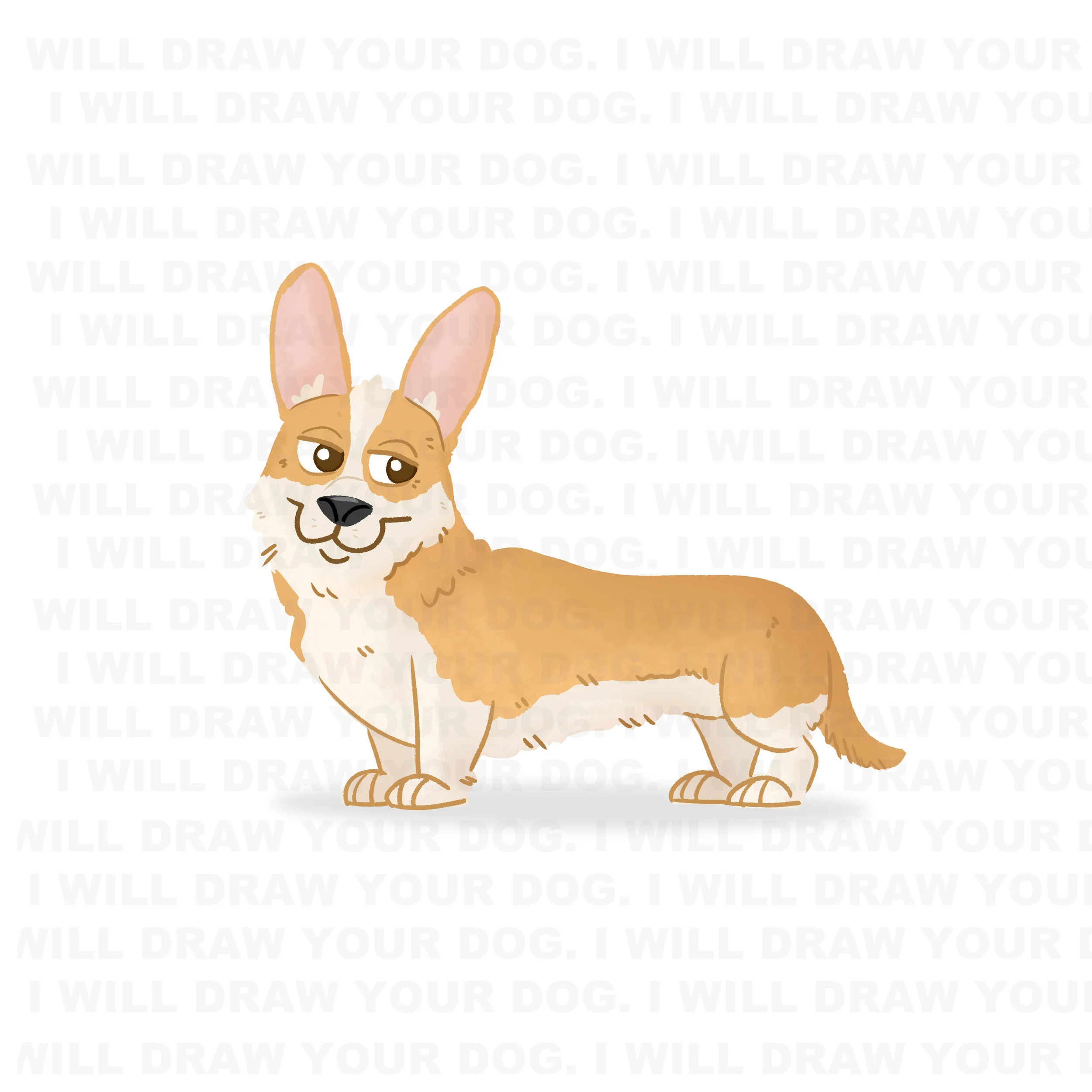 Corgi