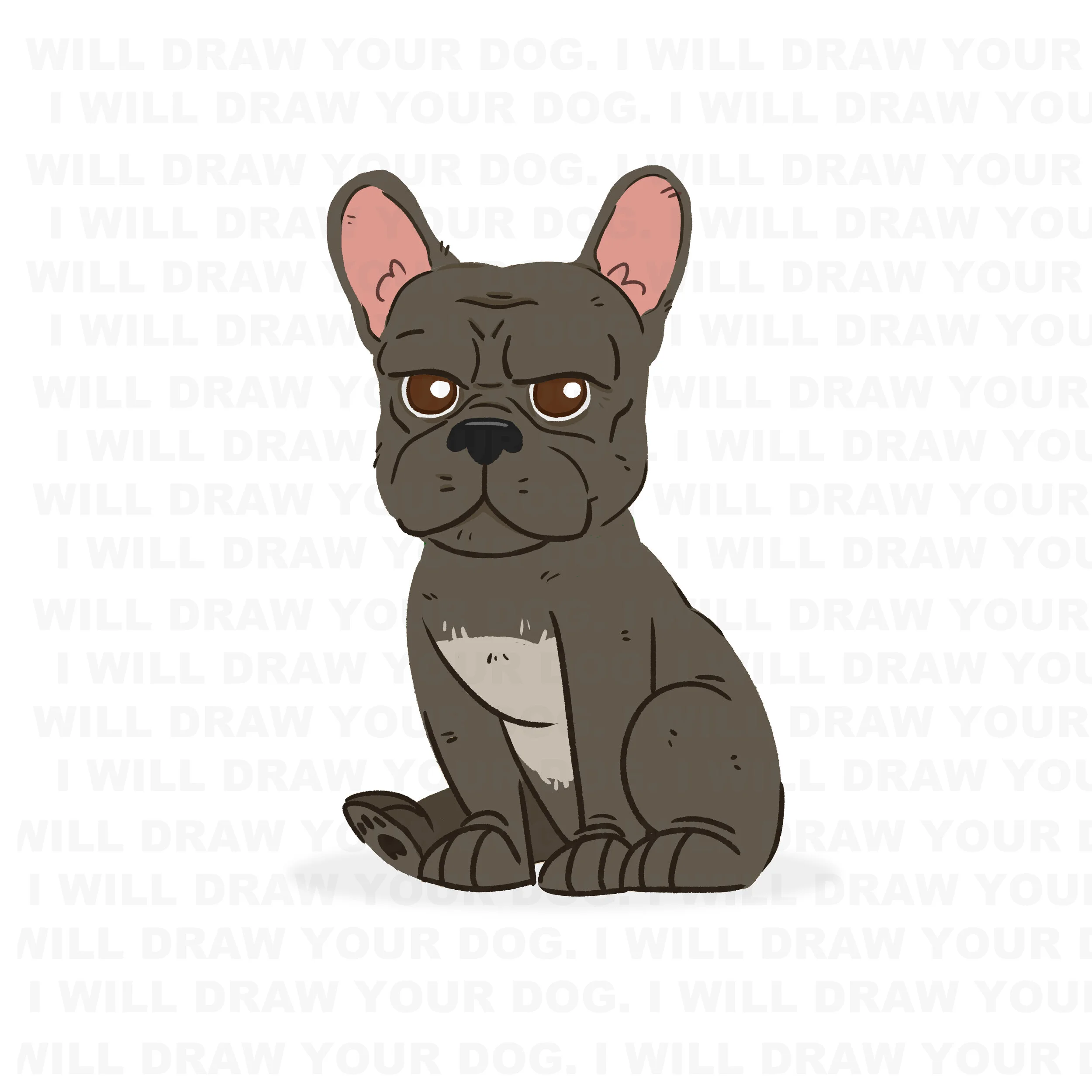 French Bulldog
