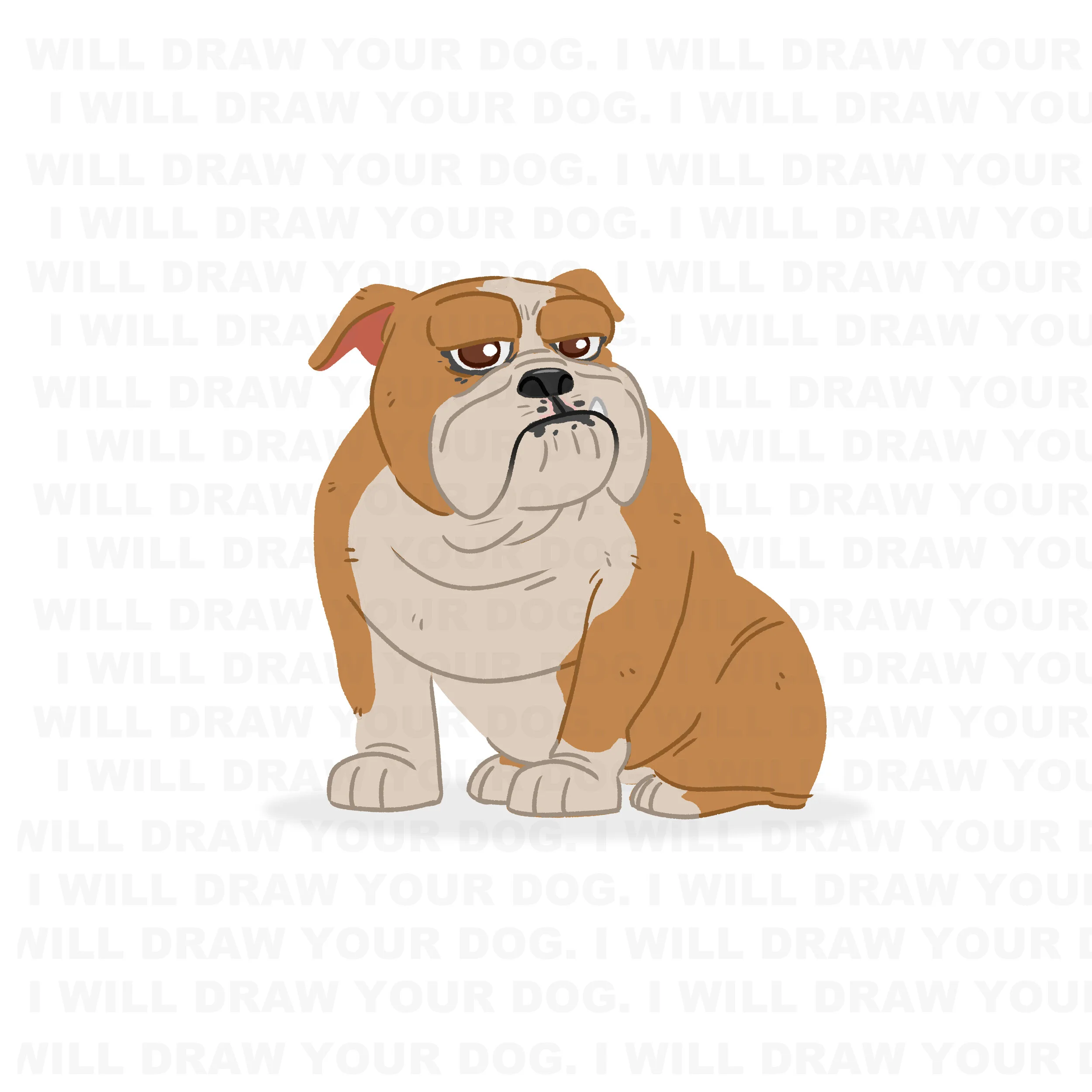 English Bulldog