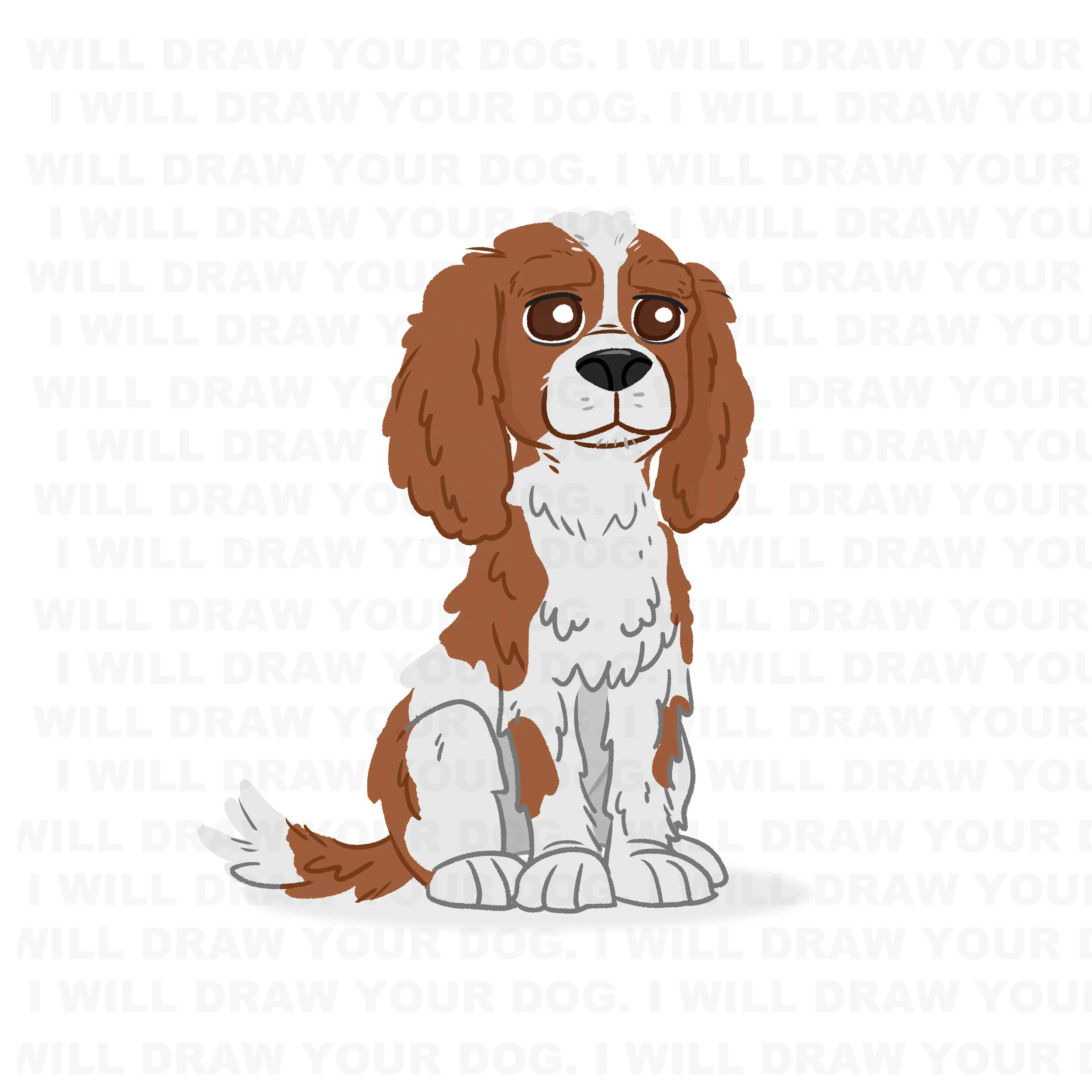 King Charles Cavalier