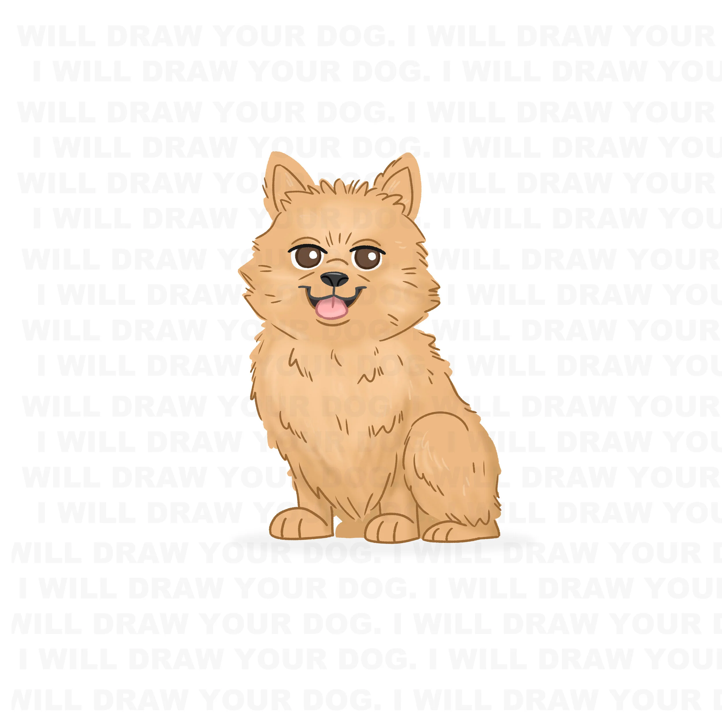 Pomeranian