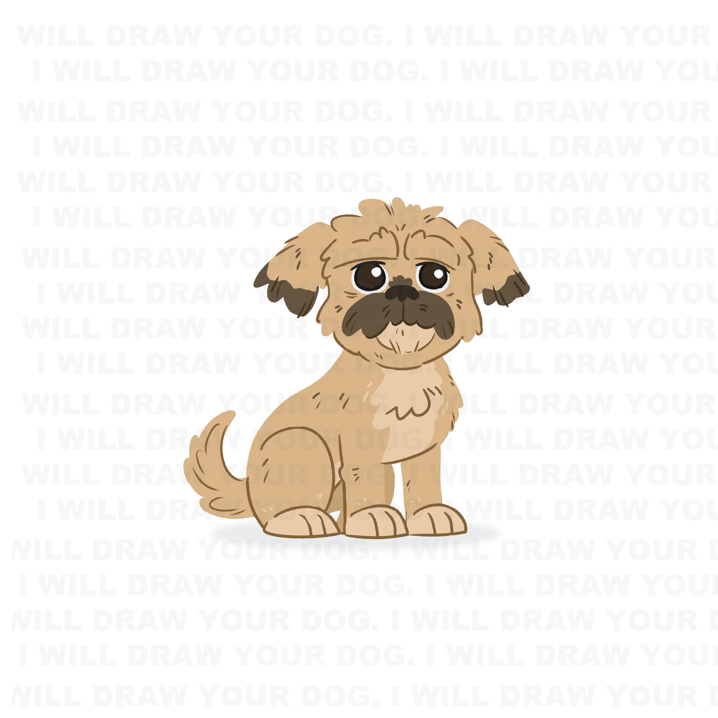 Shih Tzu