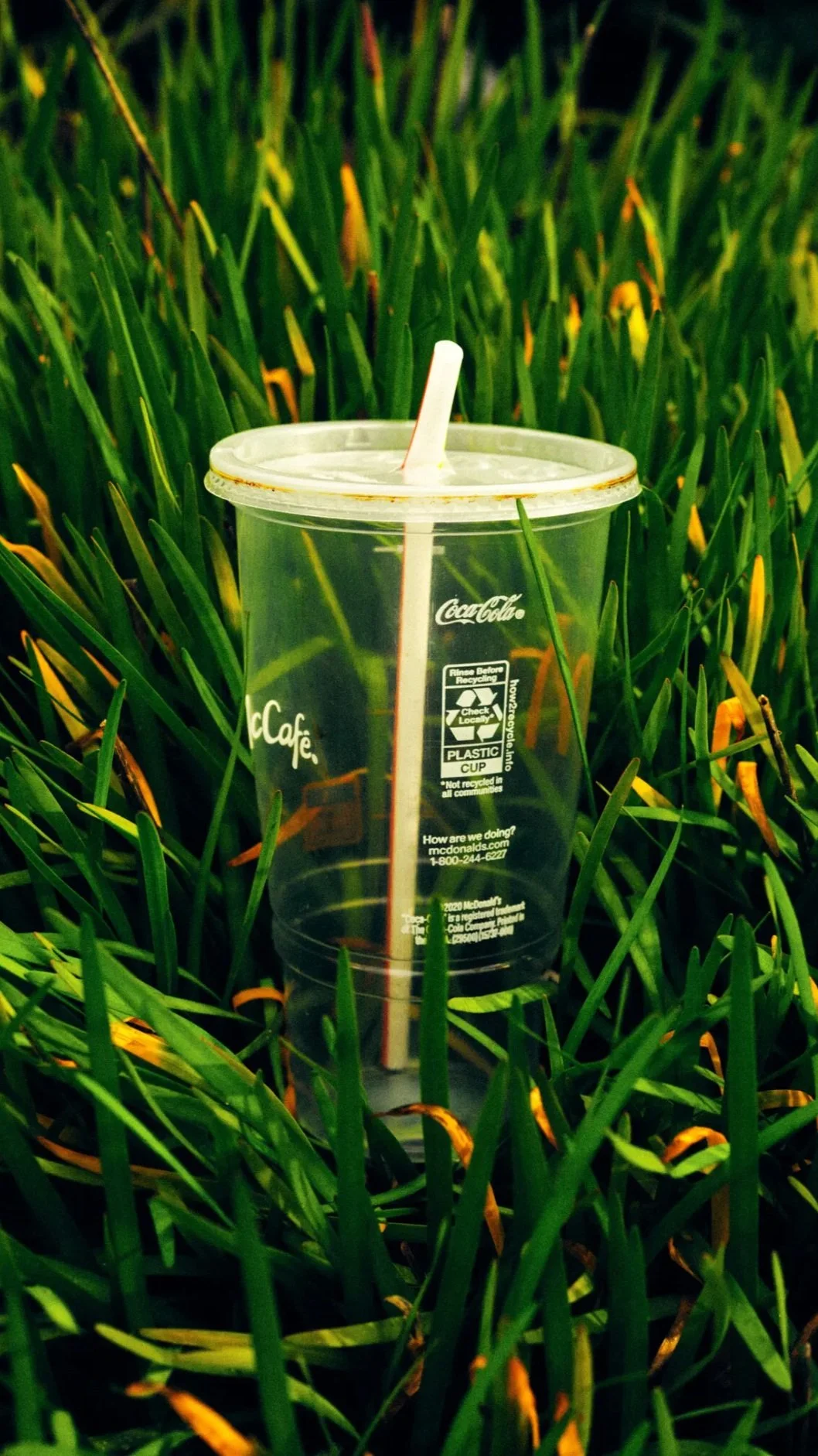 ¿ES POSIBLE QUE EL RECICLAJE DE PLÁSTICOS FUNCIONE ALGUNA VEZ?