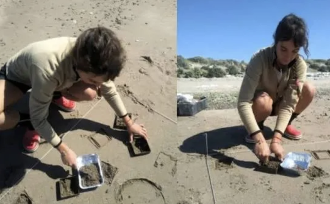 Imagen de apoyo para una noticia sobre un estudio del CENPAT-CONICET que analizó por primera vez la contaminación por plásticos en aguas y sedimentos del Golfo Nuevo, en Chubut.