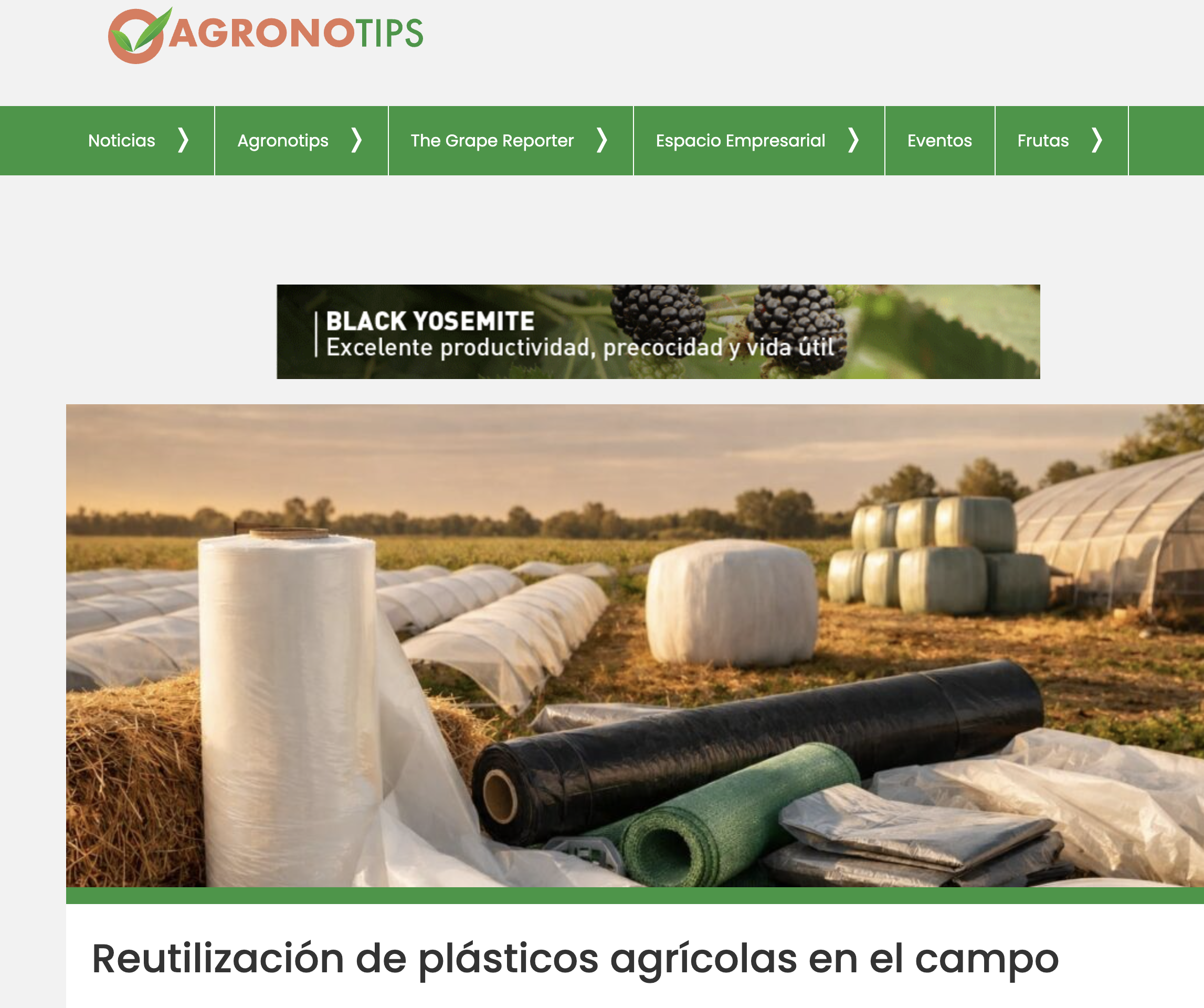 Imagen de apoyo para una noticia sobre reutilización de plásticos agrícolas en el campo, enfocada en mulch, cubiertas, cintas de riego y otros residuos plásticos del sector agropecuario.