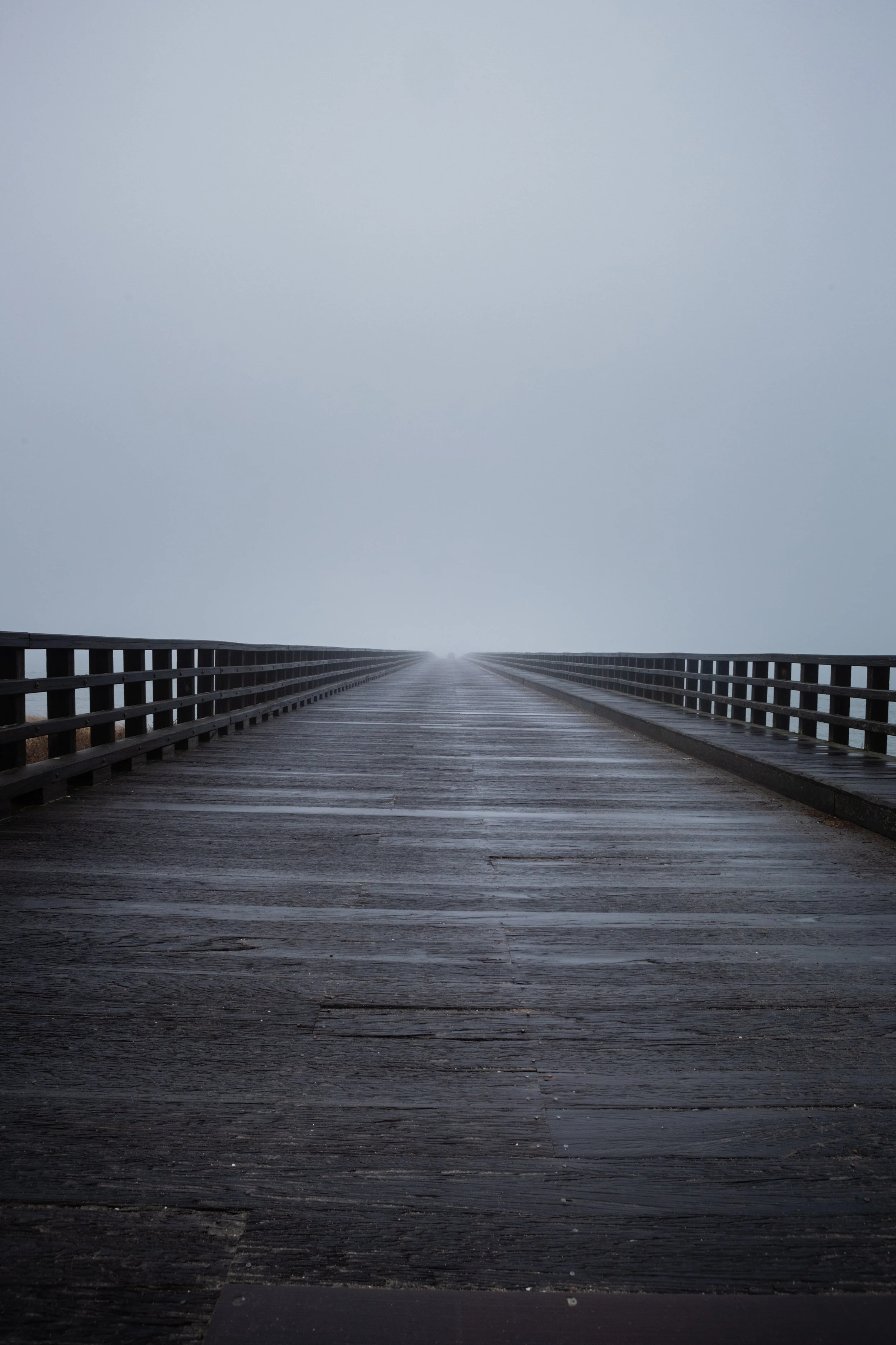 _84A7496.jpg