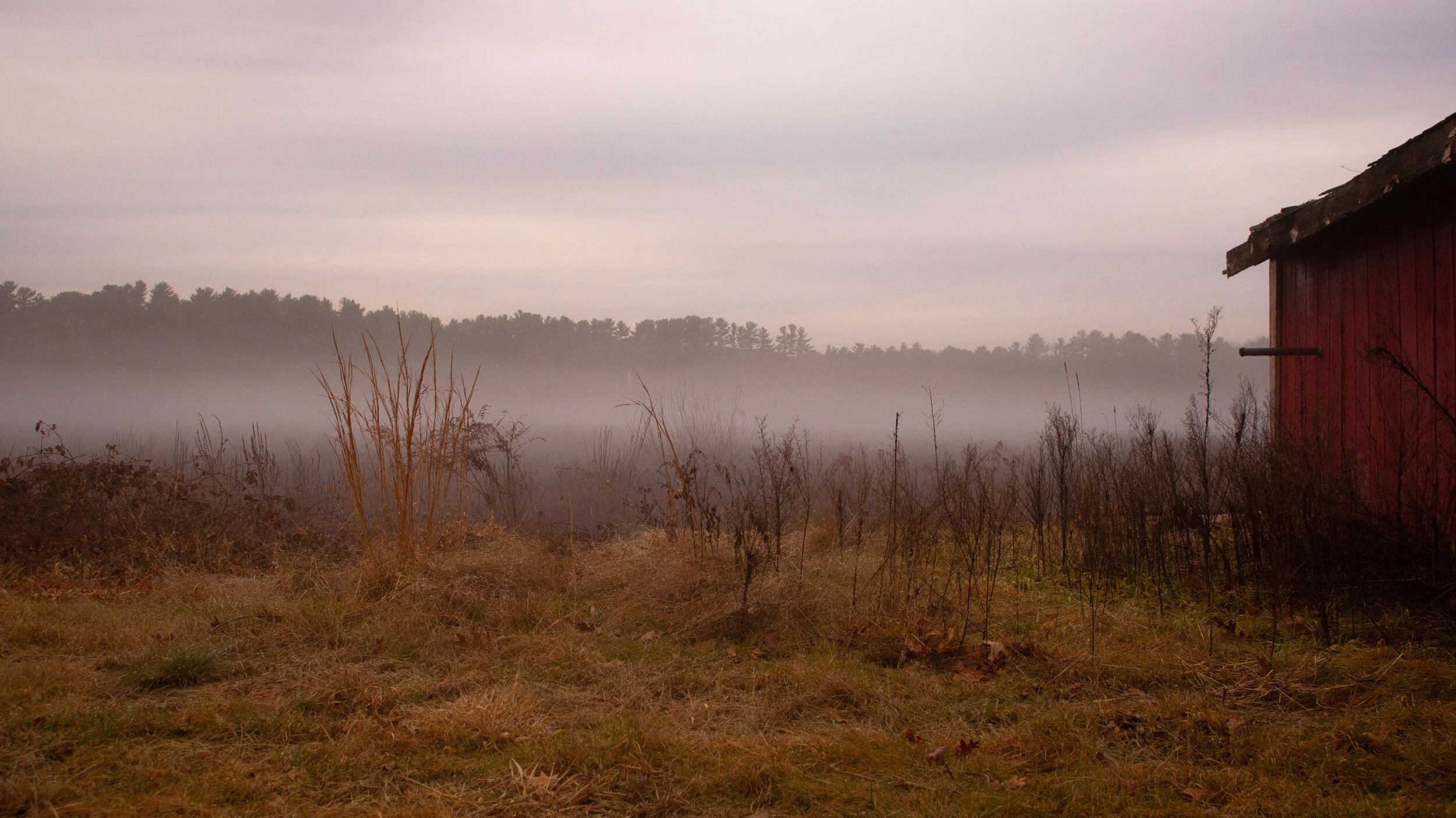 _84A4932.jpg