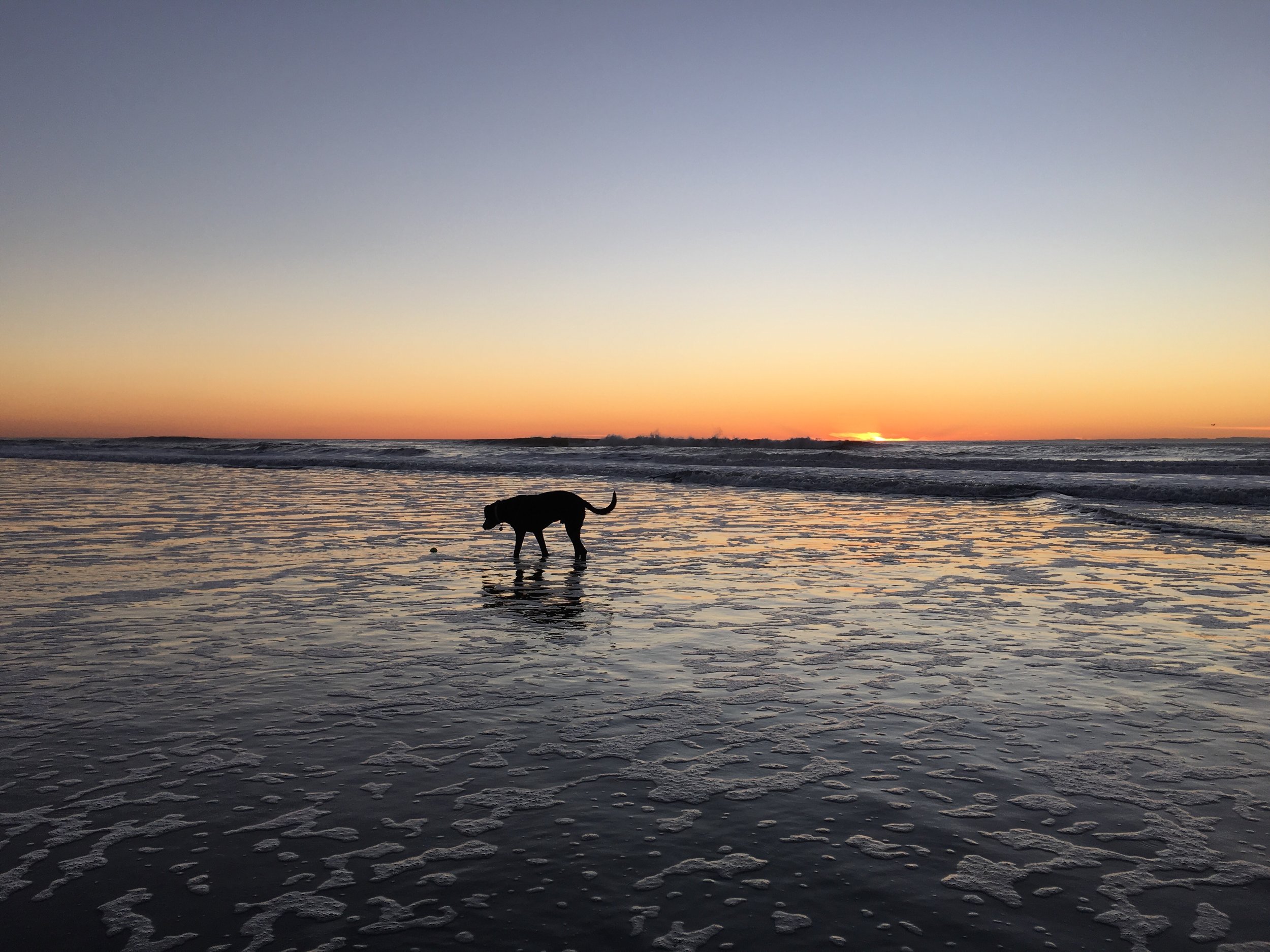 Ocean Beach, San Francisco CA - 2015