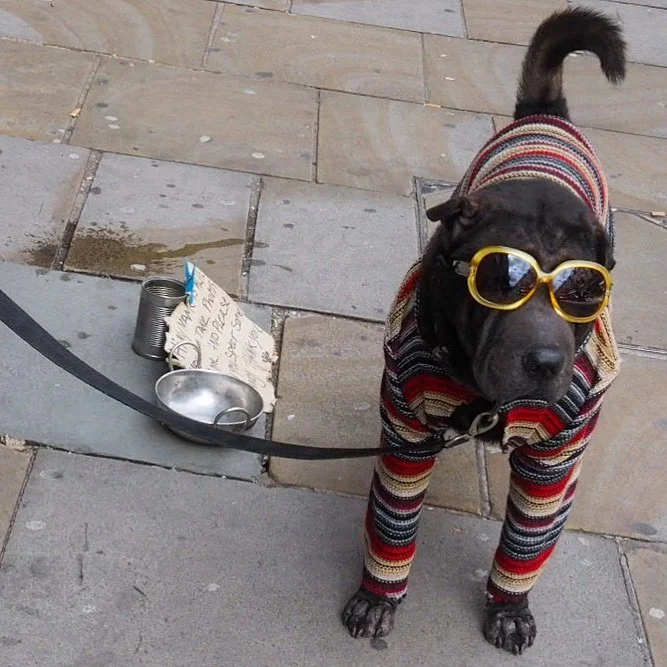 sharpei_bricklane_london.jpg