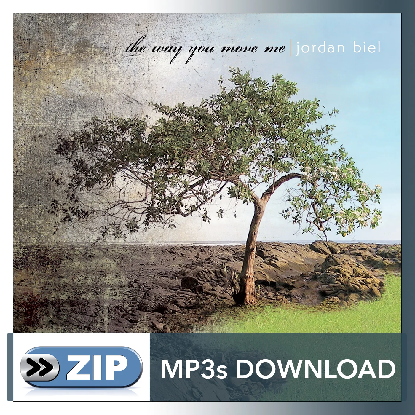 Download MP3s - The Way You Move Me