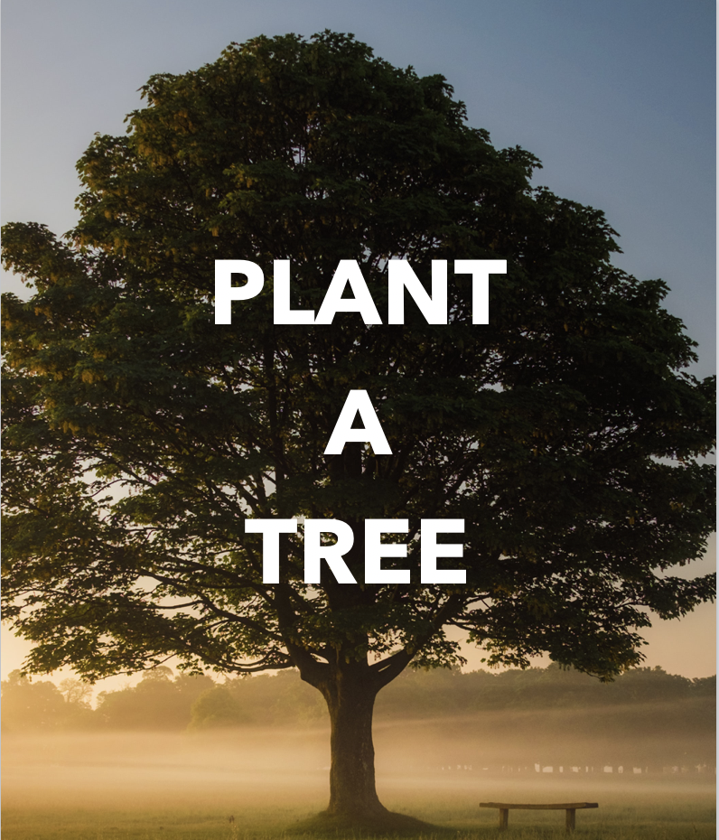 Build a Bench or Plant a Tree 