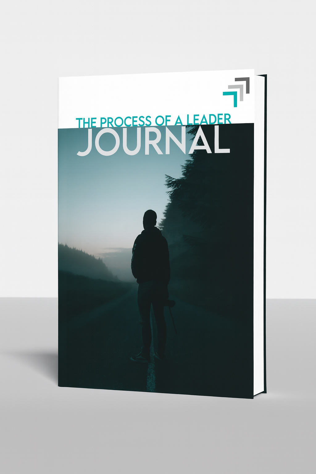 THE PROCESS JOURNAL BEST IMAGE for MARKETING.png