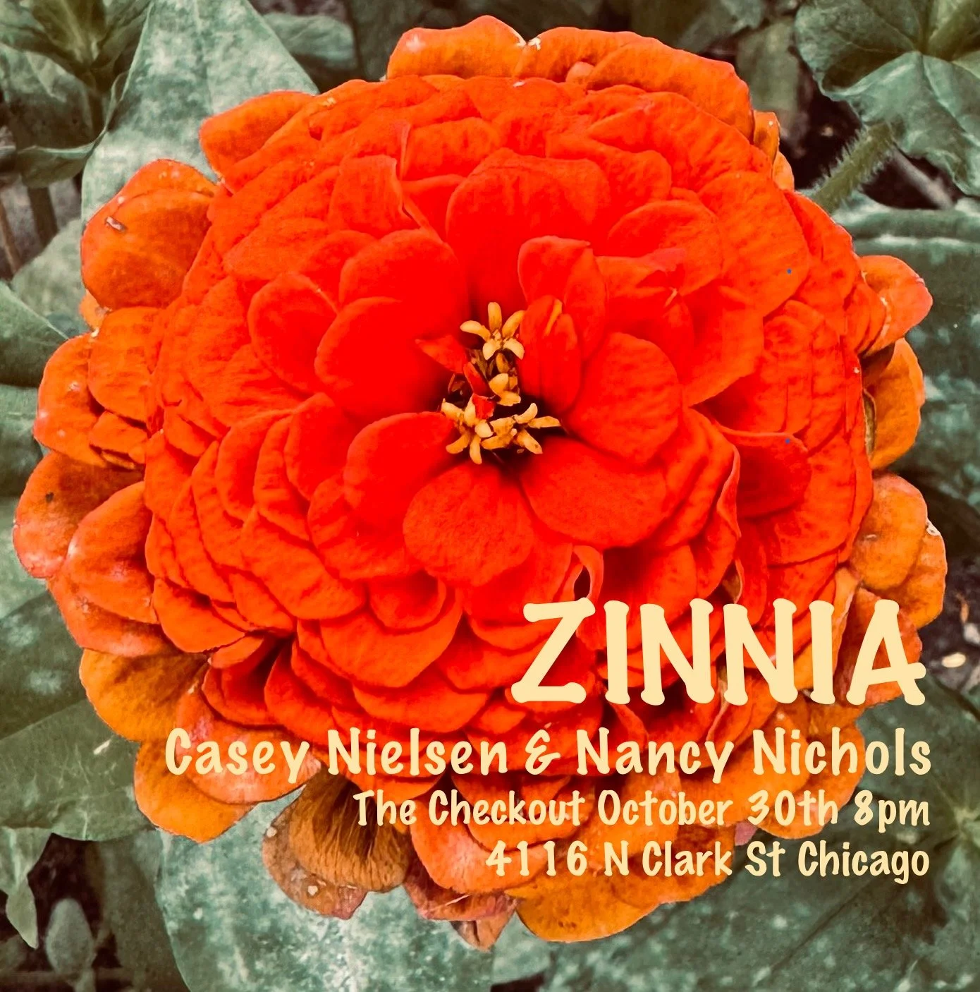 Zinnia Flyer.jpg