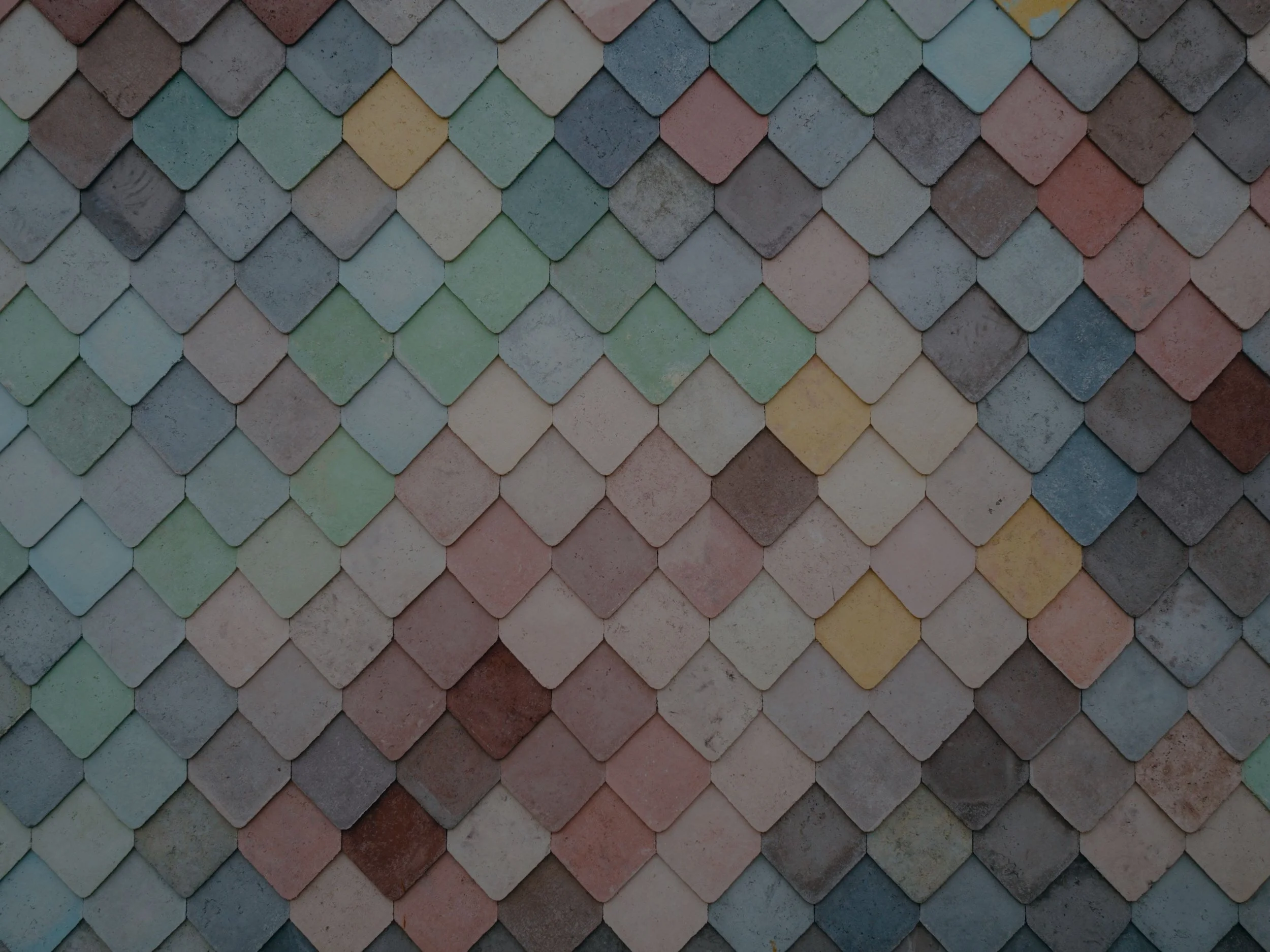 homepage-header.jpg
