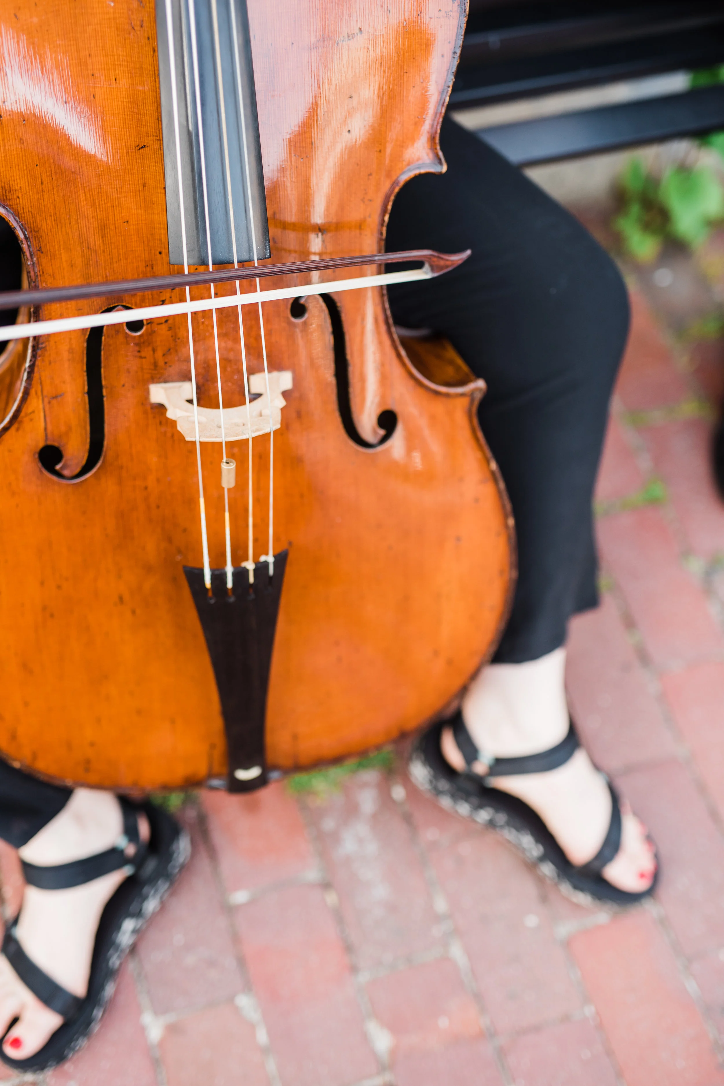 Bach_LittleGiant_004_HR.jpg