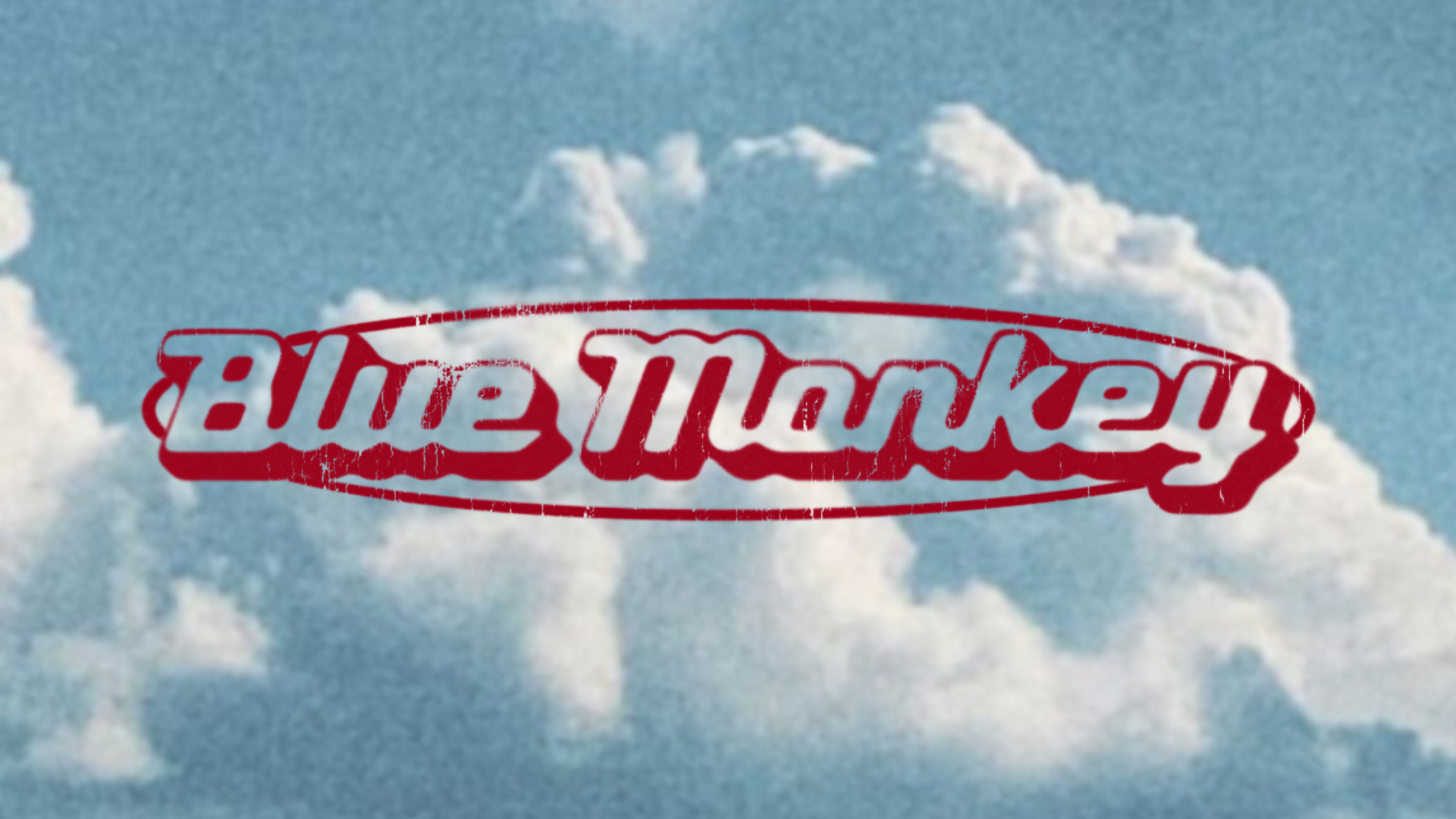 Blue Monkey Brand Guide.png