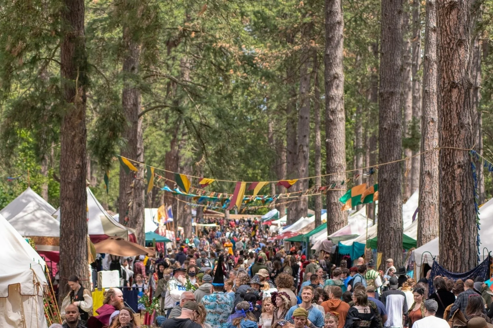 Niche Event Persona-Based Marketing Strategies.jpg