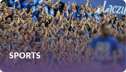 Sports: packed stadium of fans in blue jerseys cheering and waving scarves