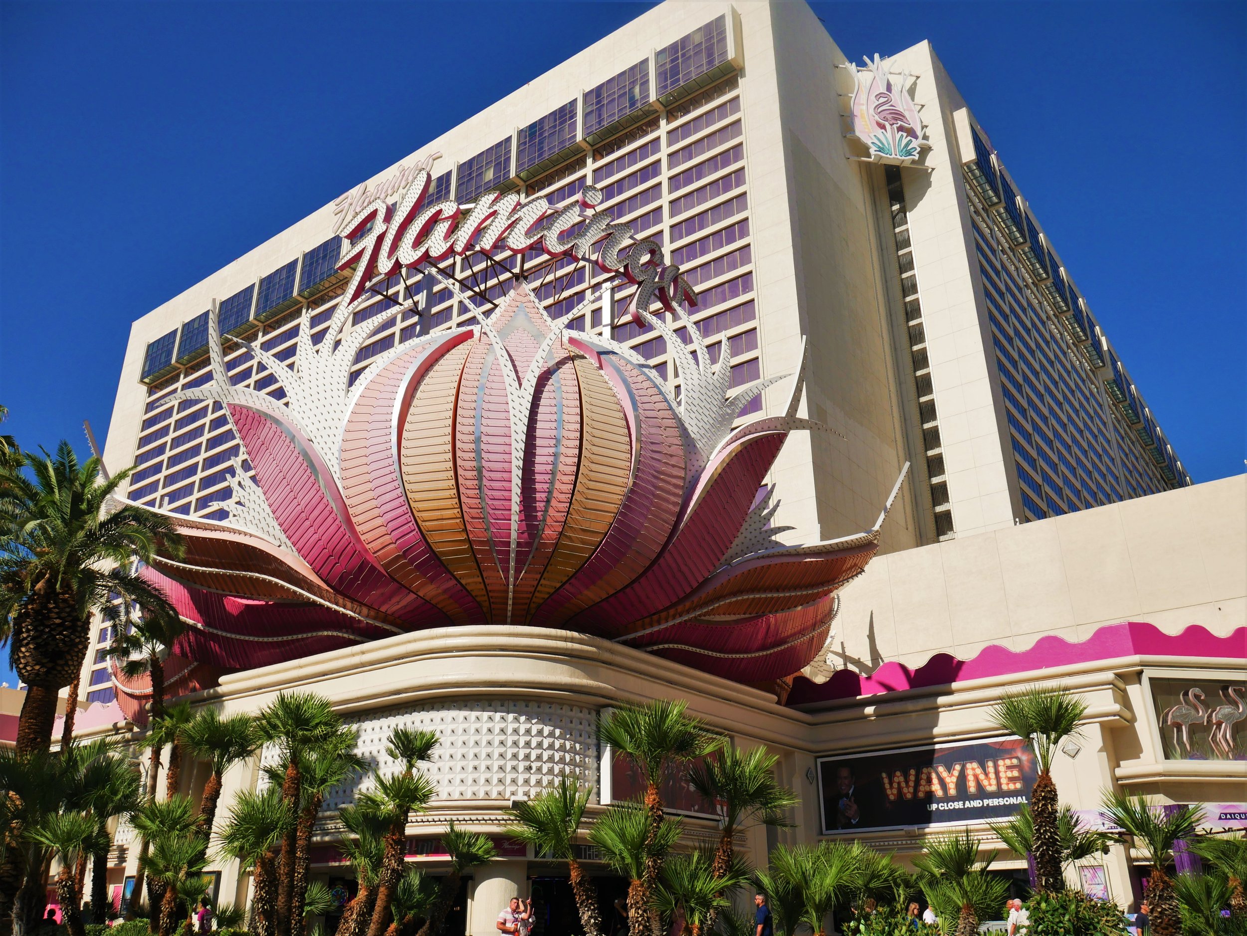 Flamingo Hotel and Casino