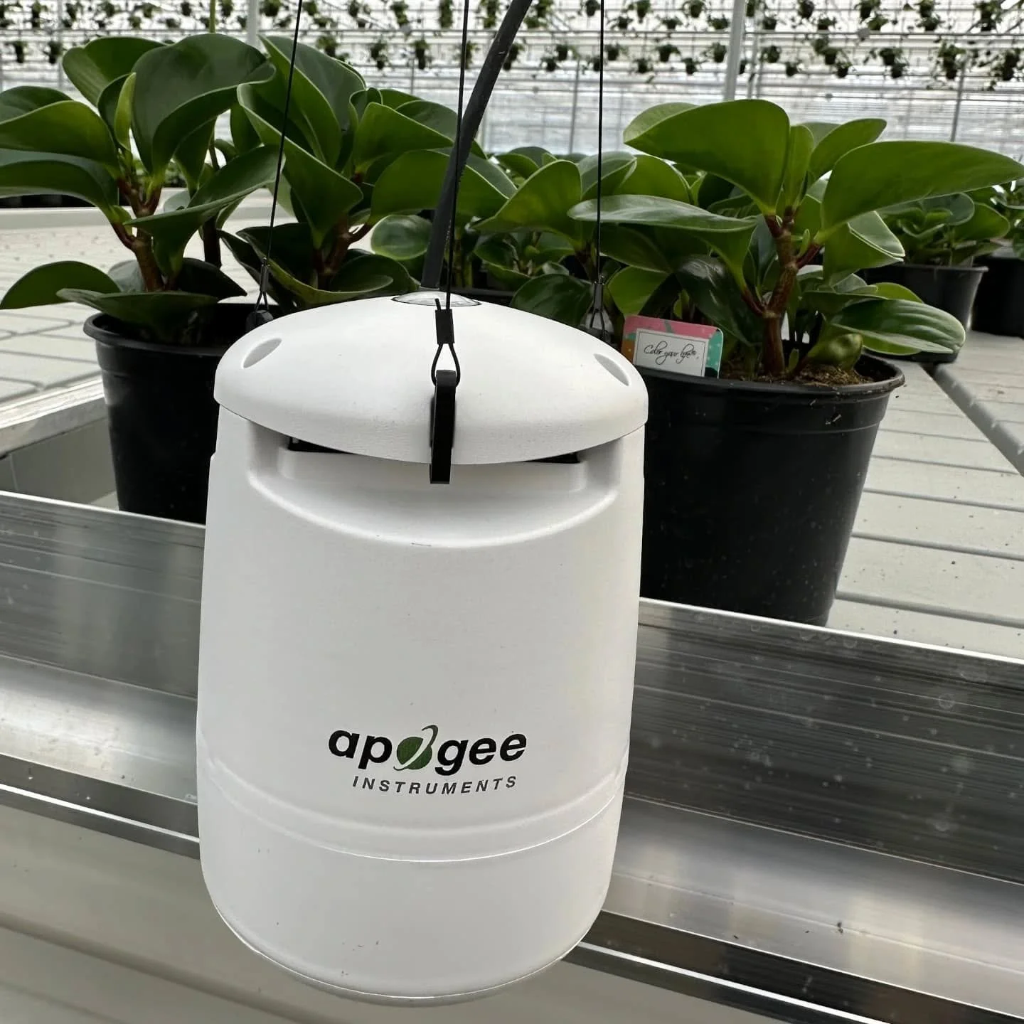 We’re excited to support Rainbow Greenhouses as they begin testing two new Apogee Guardian sensors integrated into their Argus control system π±π‘οΈ
These sensors are helping gather real-time data on light levels, temperature, humidity, COβ, VP