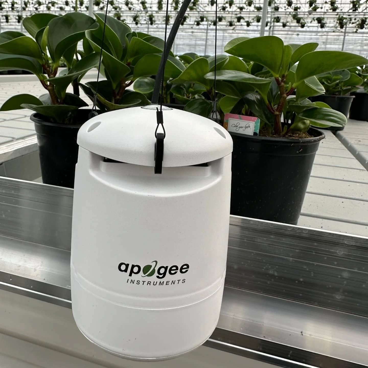 We&rsquo;re excited to support Rainbow Greenhouses as they begin testing two new Apogee Guardian sensors integrated into their Argus control system 🌱🌡️

These sensors are helping gather real-time data on light levels, temperature, humidity, CO₂, VP