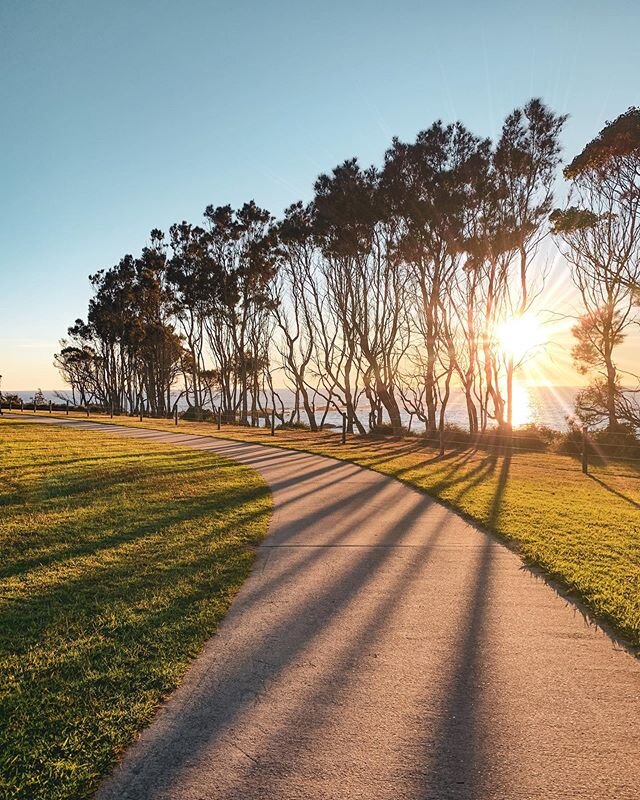 Life is a one time offer. Don&rsquo;t waste it! 💛 The light at Dalmeny this morning was just so soft and beautiful. You can follow this walking/cycling path for 21km&rsquo;s all the way from Dalmeny into Narooma. Most of it goes along the beach! It 