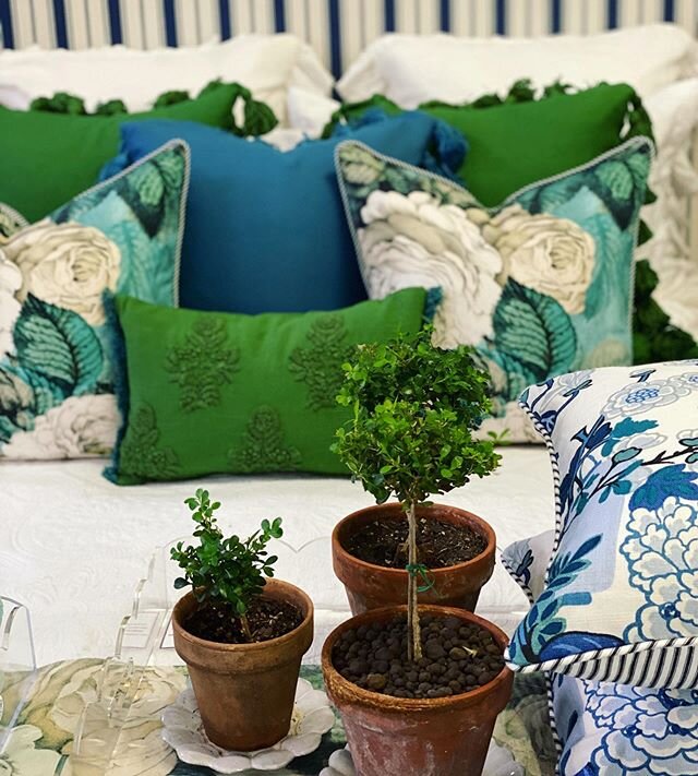 Today&rsquo;s love affair 💚💙💚 @designinteriorgarden_d.i.g