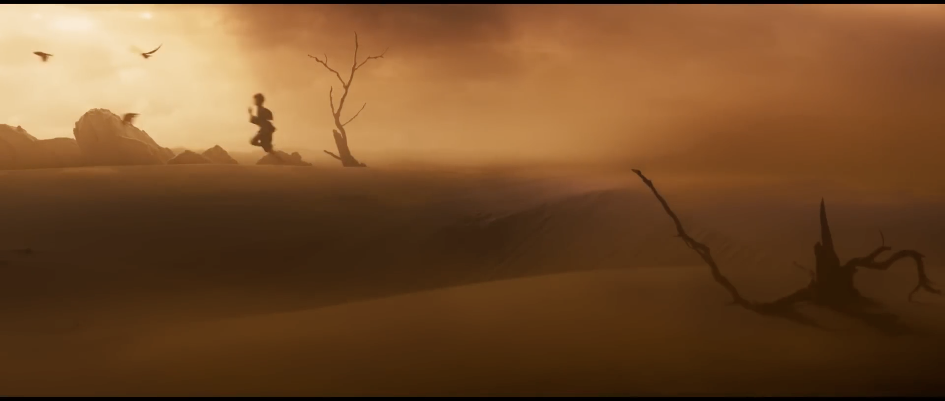 Furiosa cropped_06.png