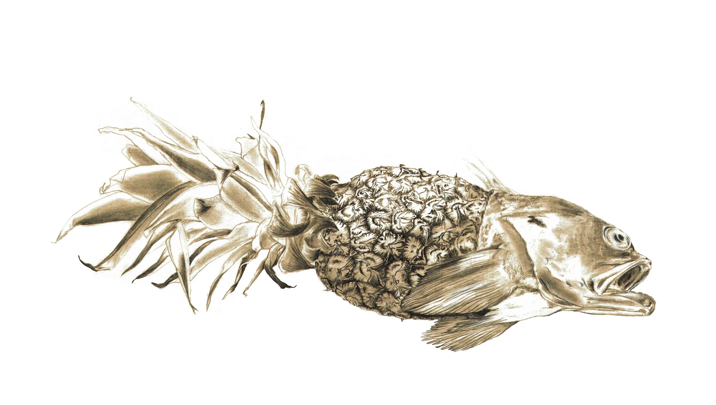 PINEFISH373.jpg
