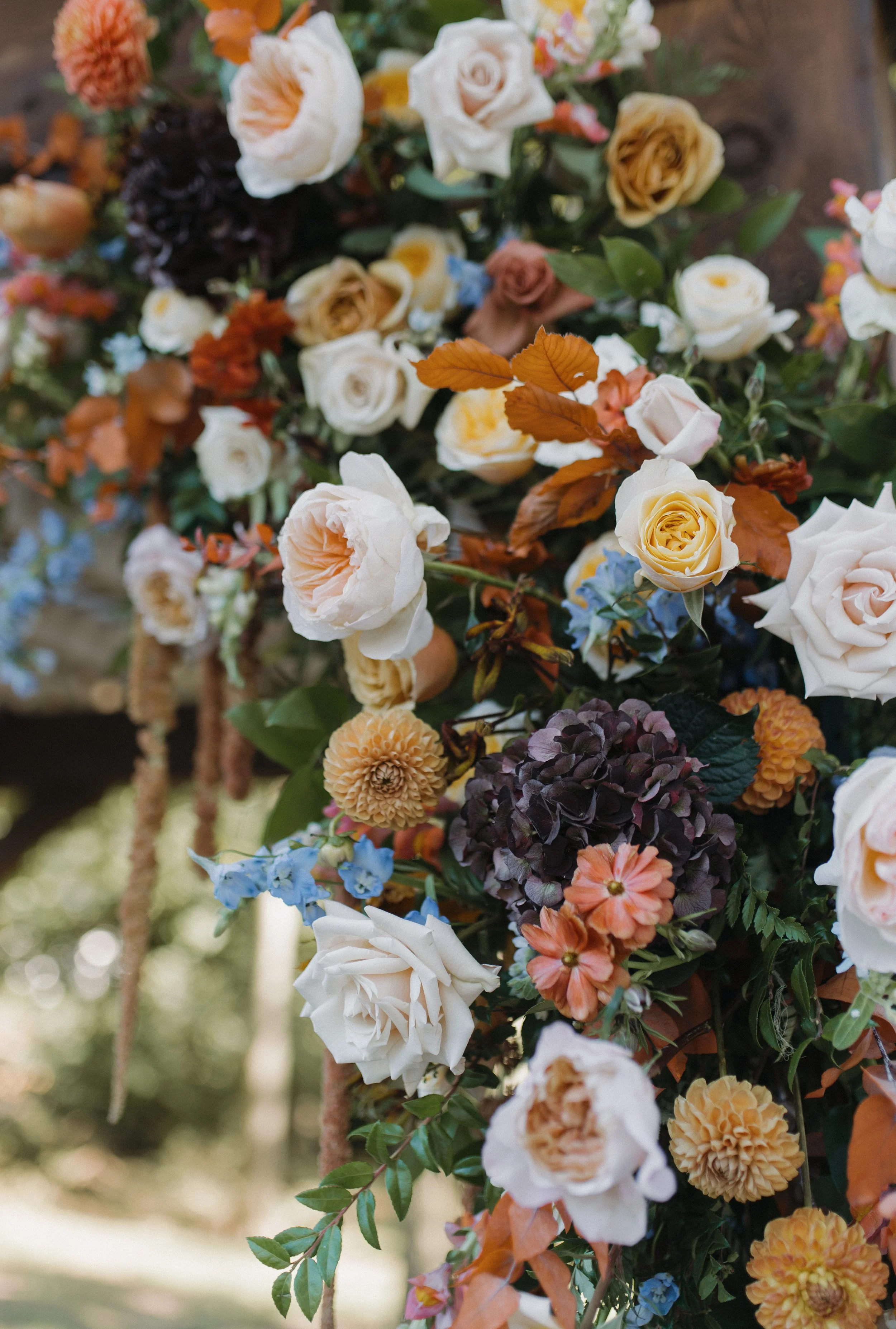 Allie &amp; Wes - Historic Ashland