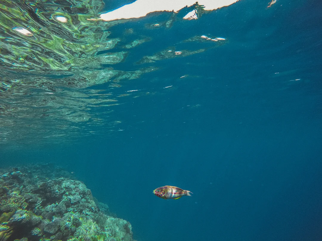 G0202004_aWEB.jpg