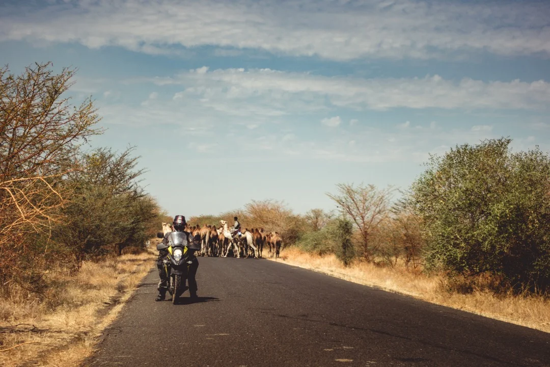 Traffic jam on the way to Ethiopia